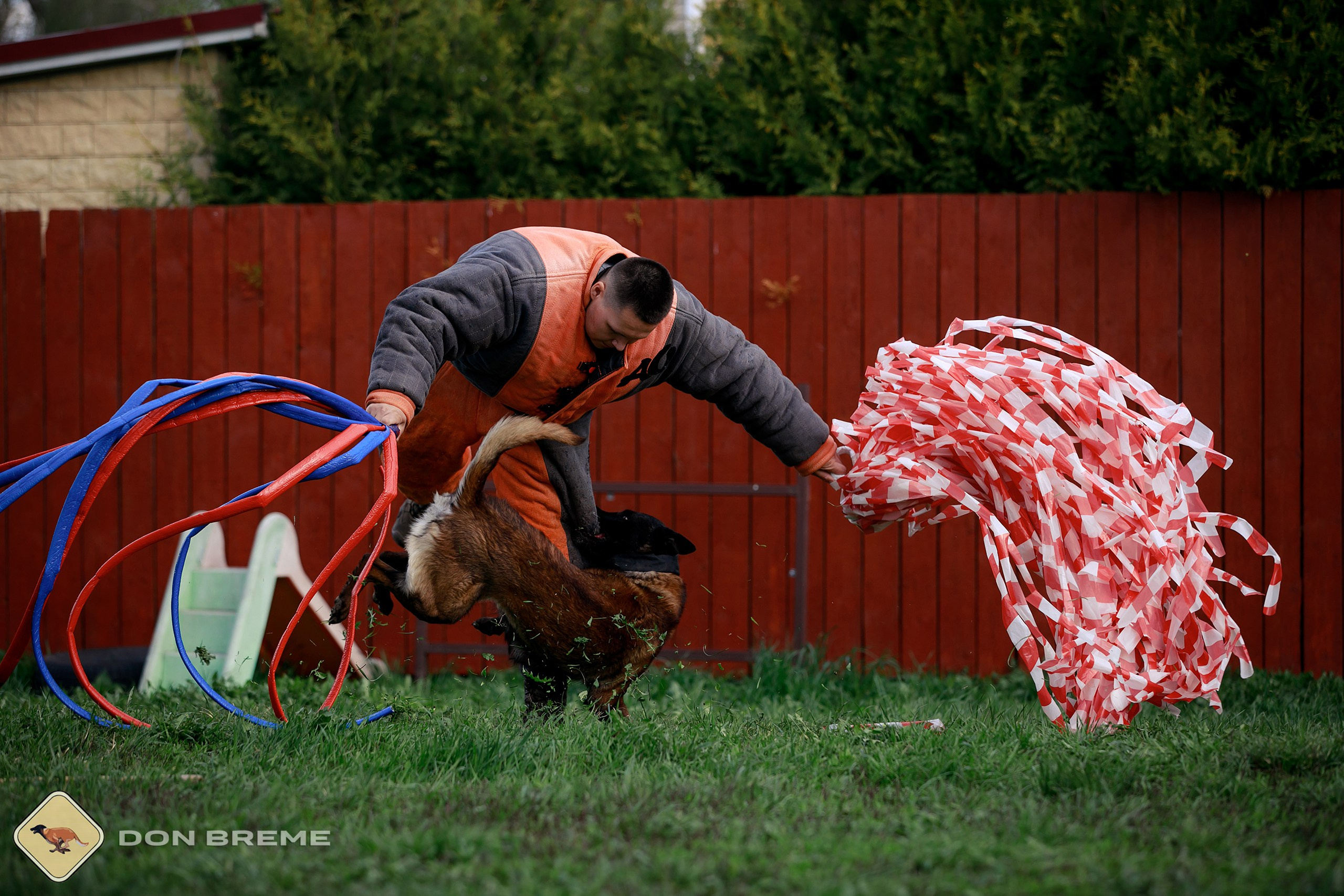 Семинар для фигурантов, день 2. Фотограф-анималист Mary Mart — Москва, Питер