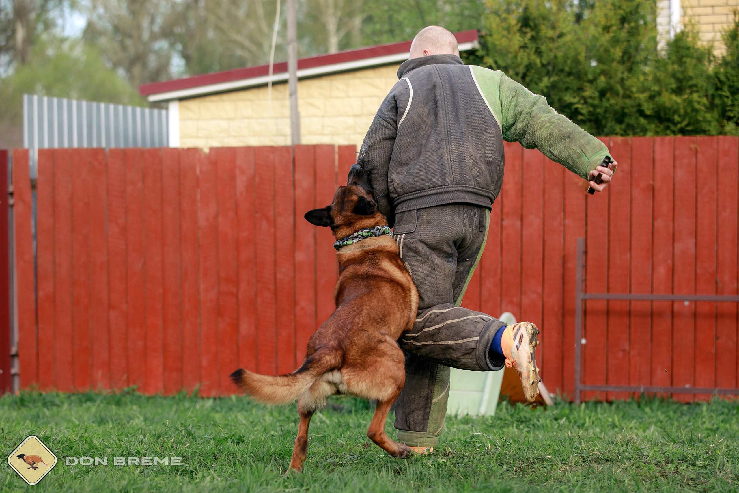 Семинар для фигурантов, день 2. Фотограф-анималист Mary Mart — Москва, Питер