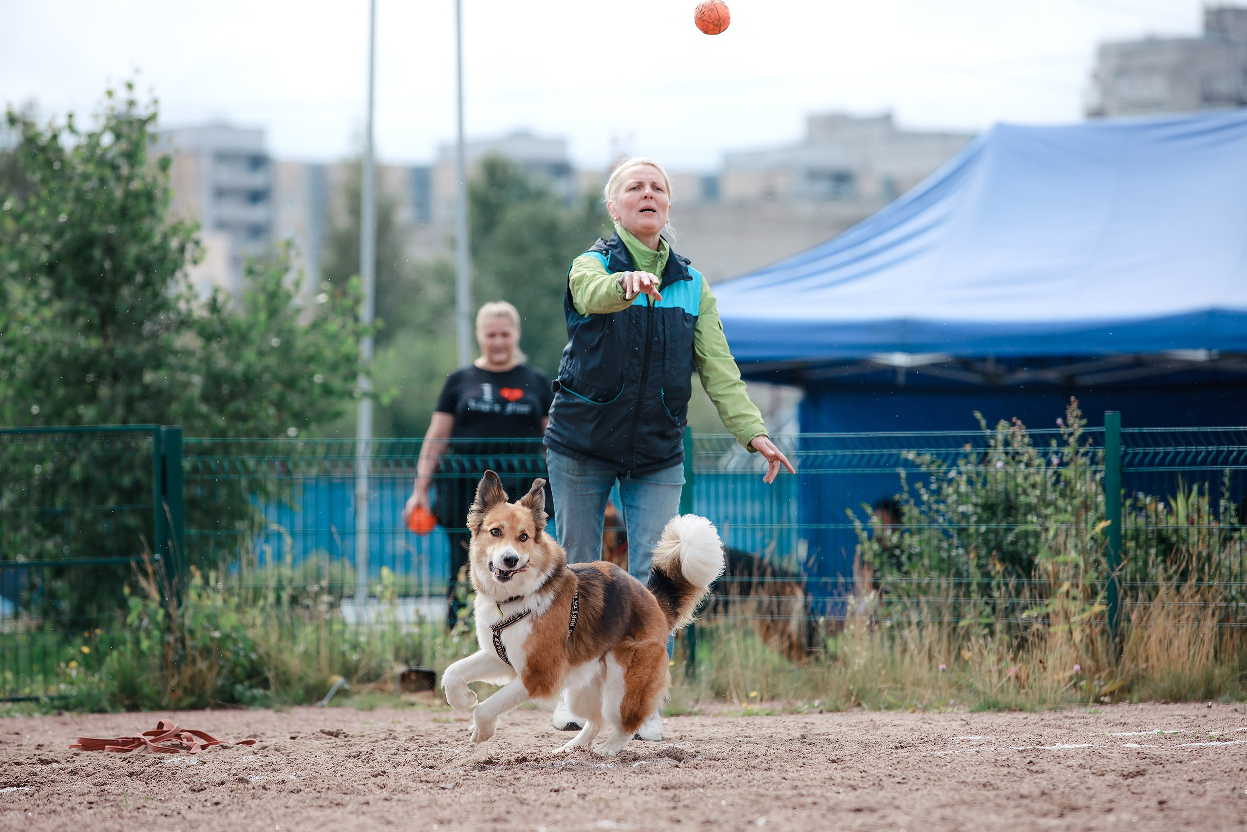 Питч&Гоу + веселые старты. Фотограф-анималист Mary Mart — Москва, Питер
