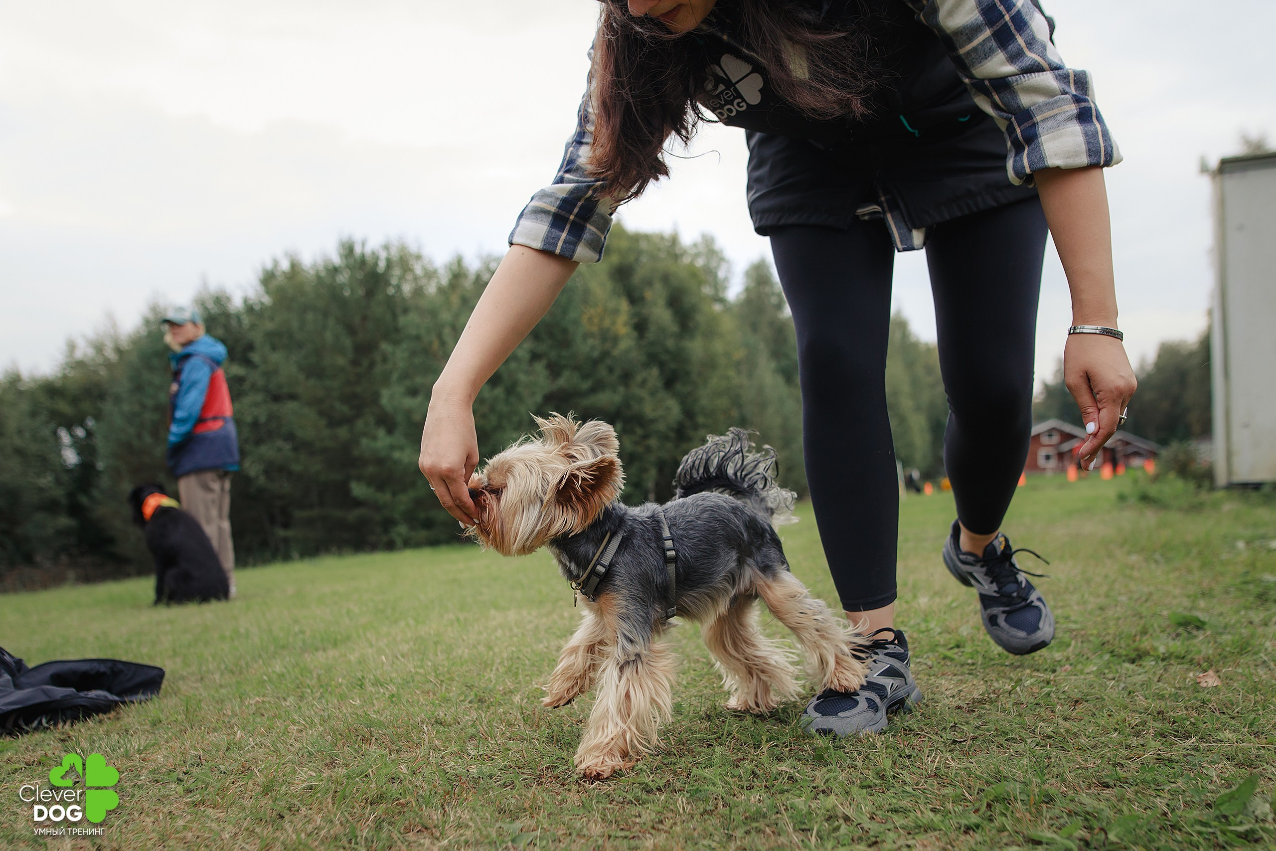 Кинологический лагерь CleverDog, 2024. Фотограф-анималист Mary Mart — Москва, Питер