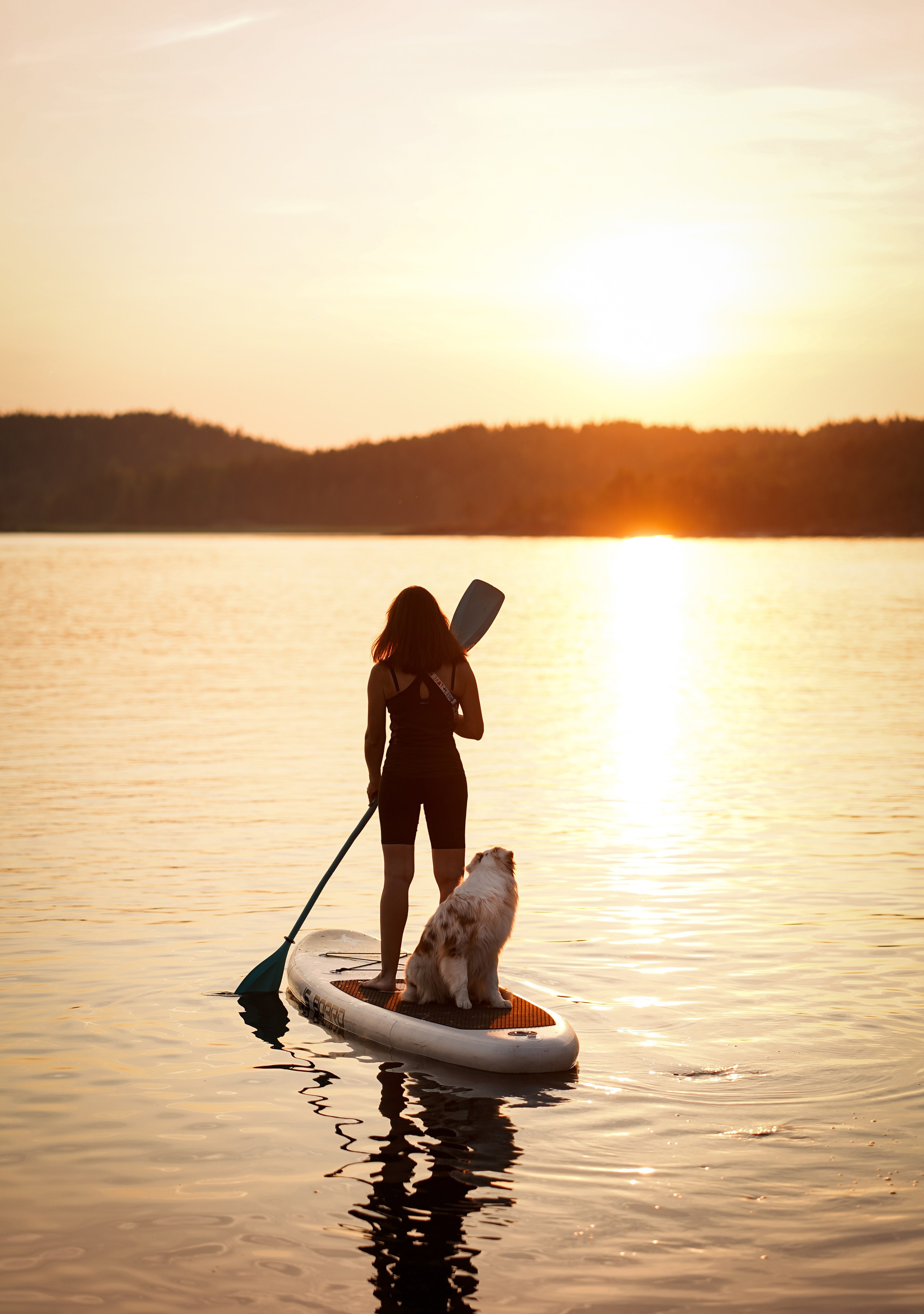 Панда SUP. Фотограф-анималист в Санкт-Петербурге Яна Мартынова