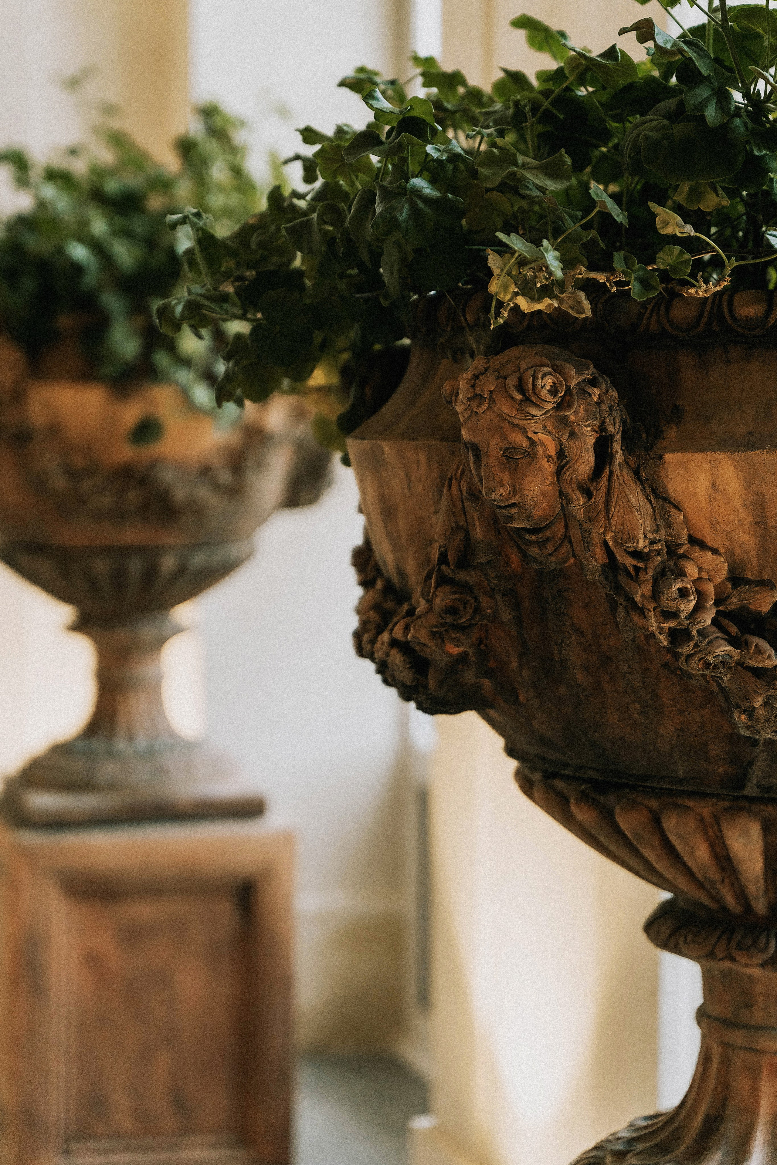 Виктория. Татьяна Тагель