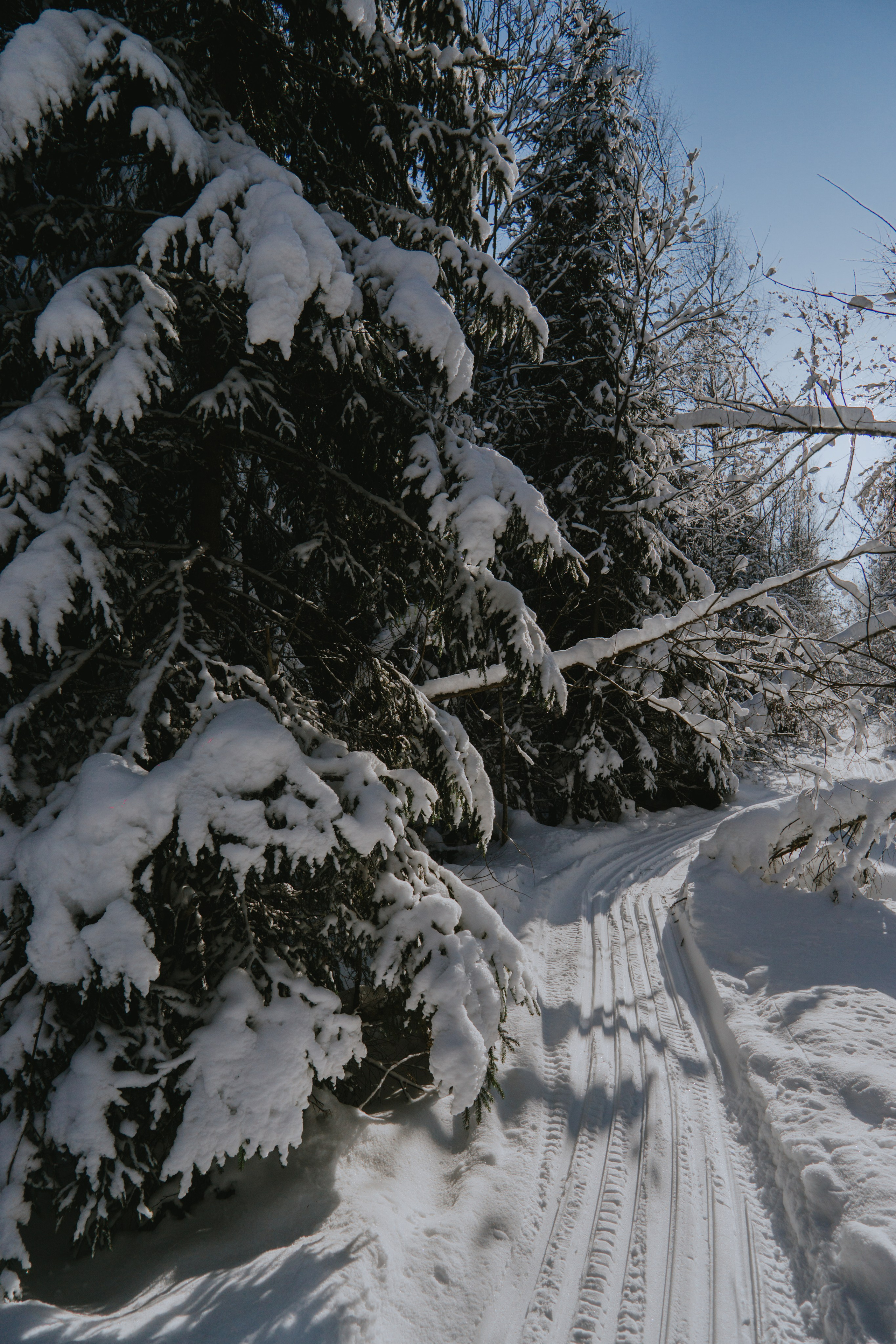 EXHIBITION. Репортажный и интерьерный фотограф, фотохудожник
