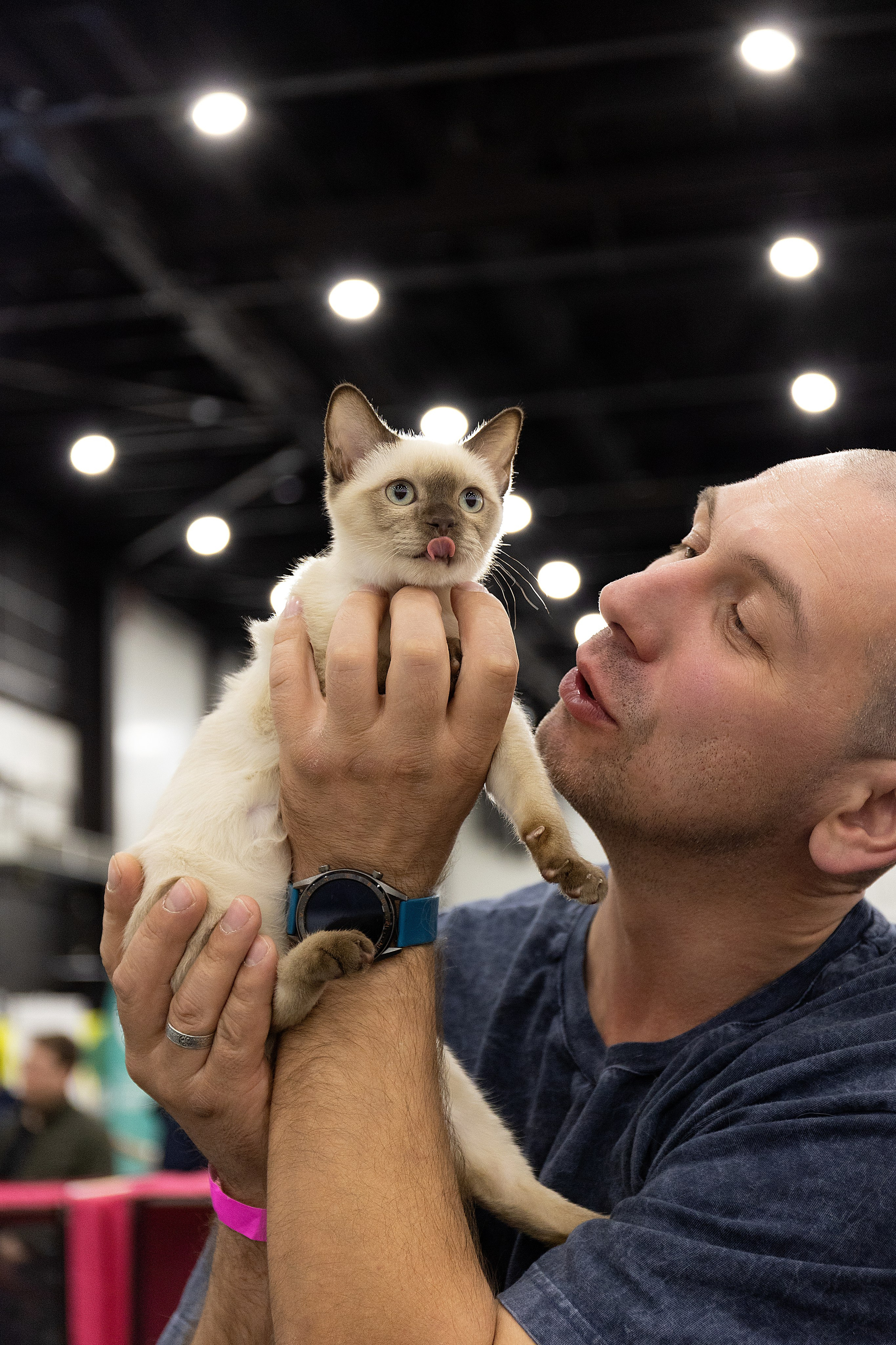 Анималистика