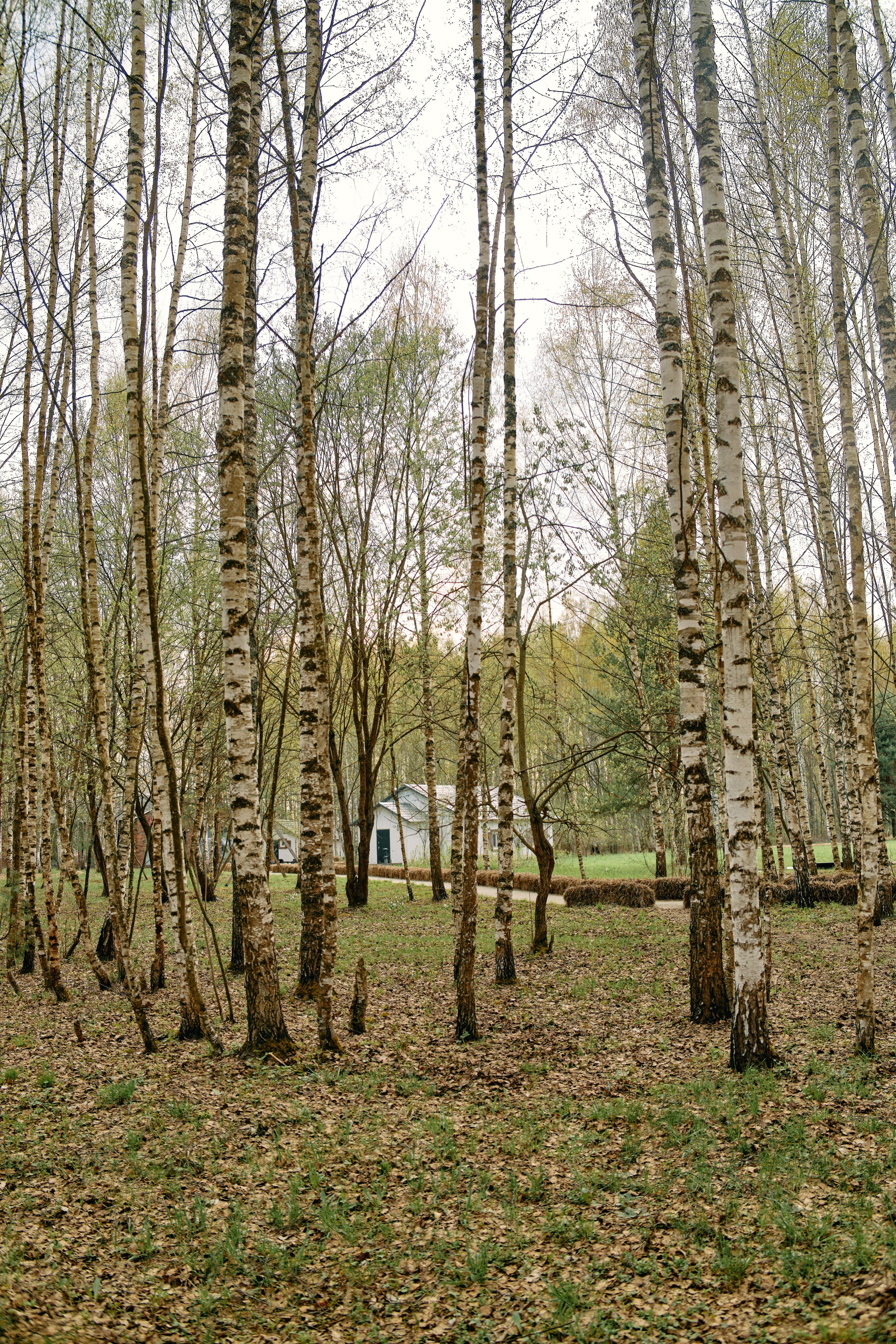 Бутик-отель Поле летом. Профессиональный Фотограф во Владимире, в Москве и в Суздале — Полина Романычева