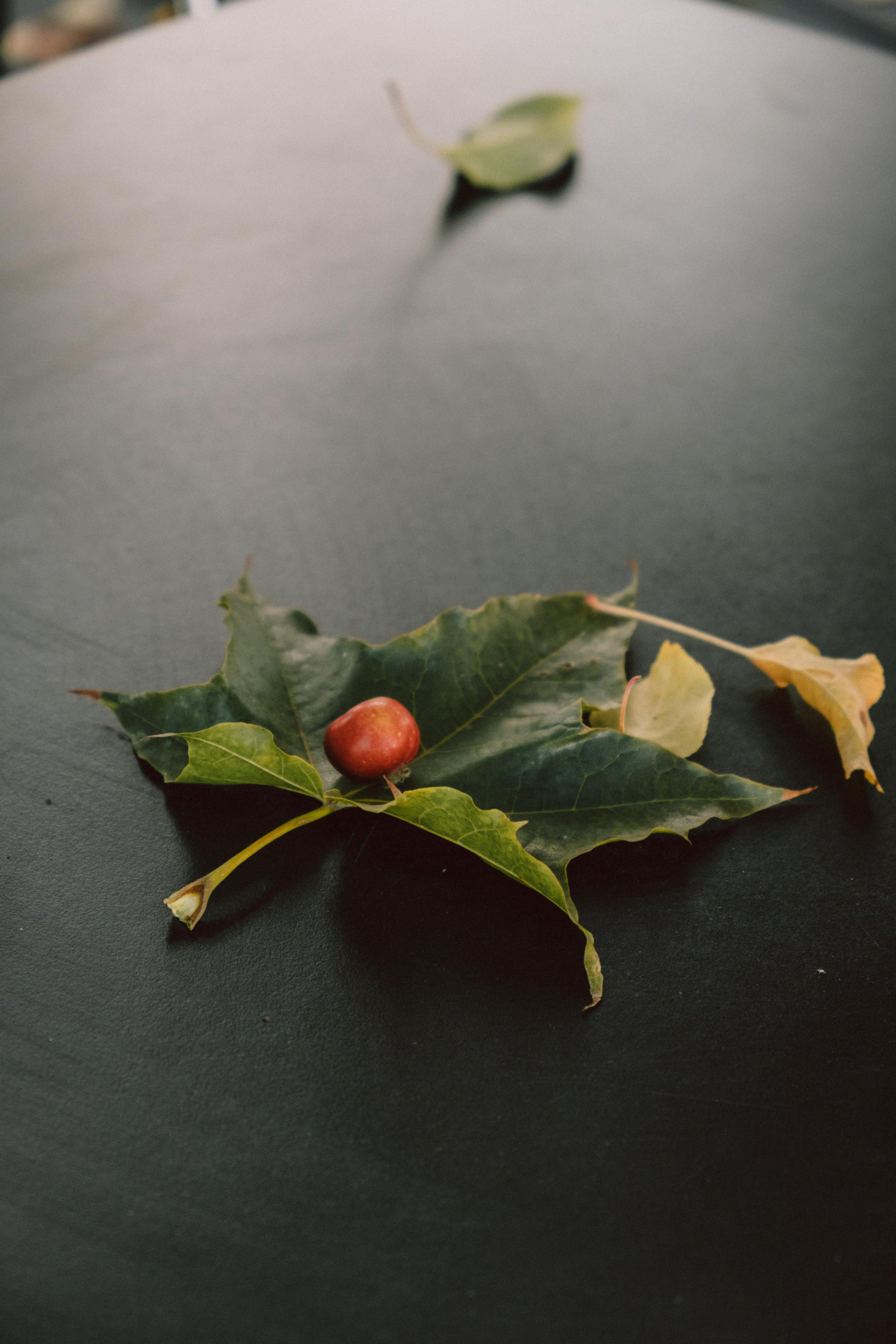 Замечательная повседневность. Контент-фотограф и видеограф в Перми