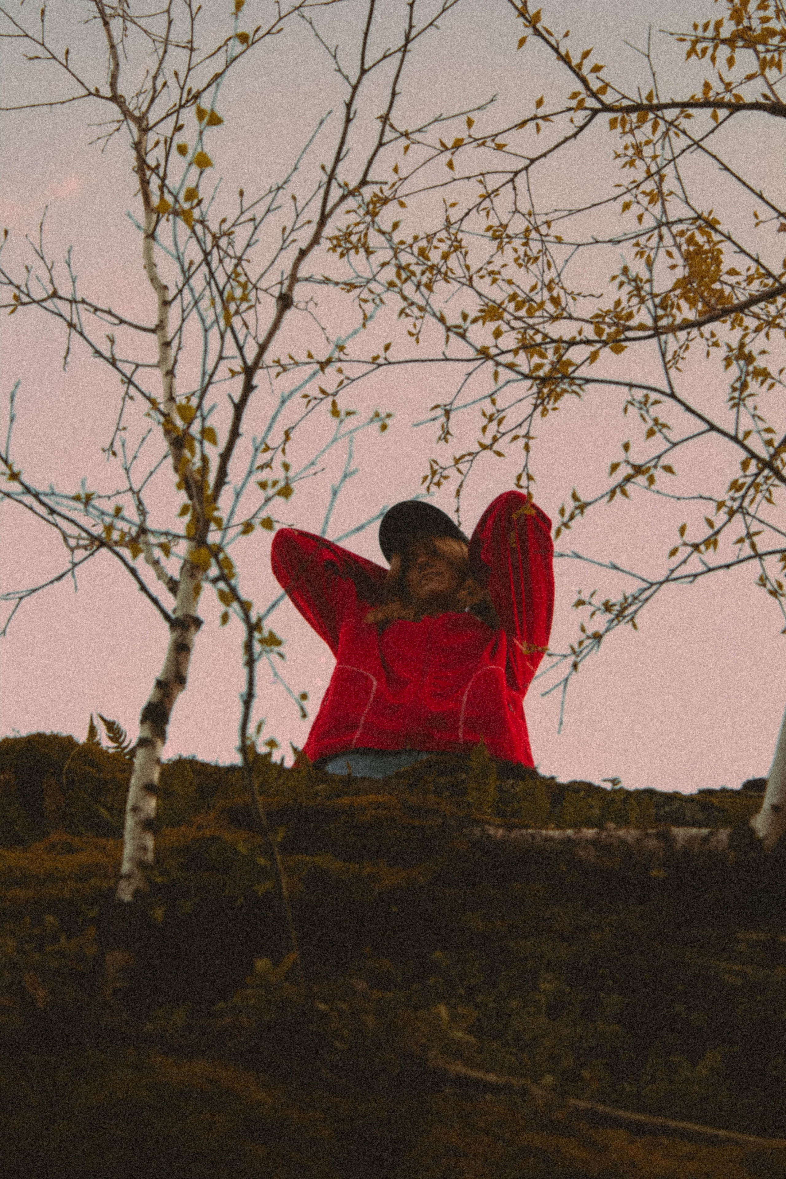 «Без названия»