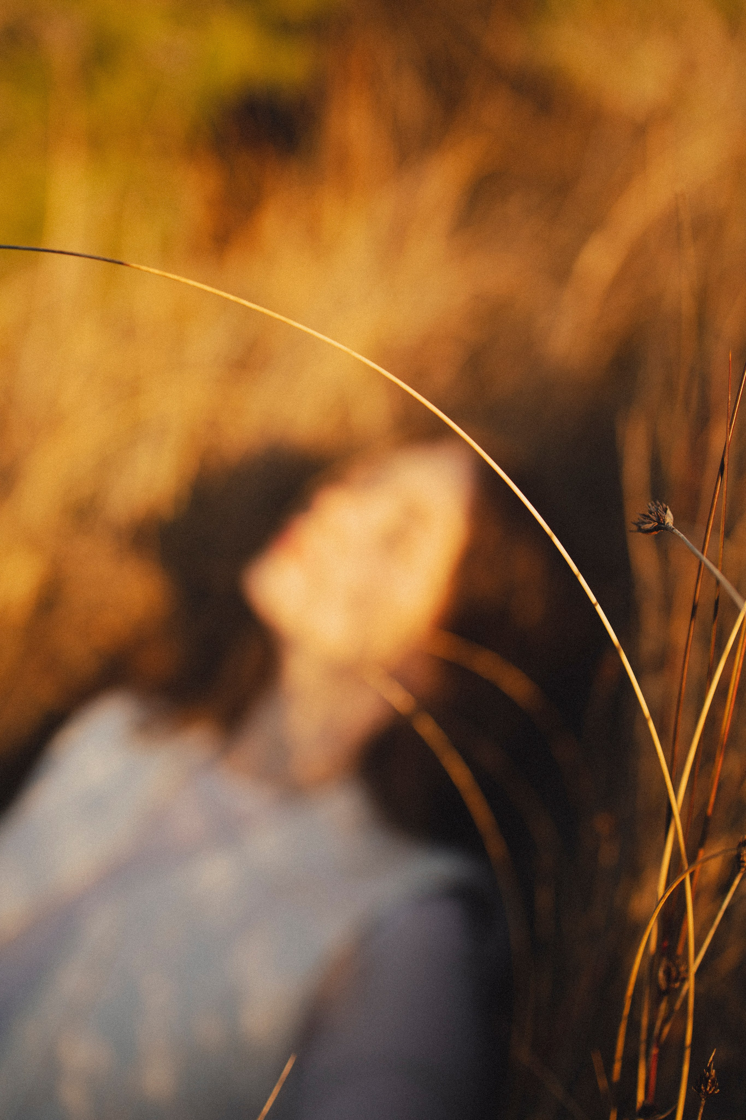 🤍. Главная