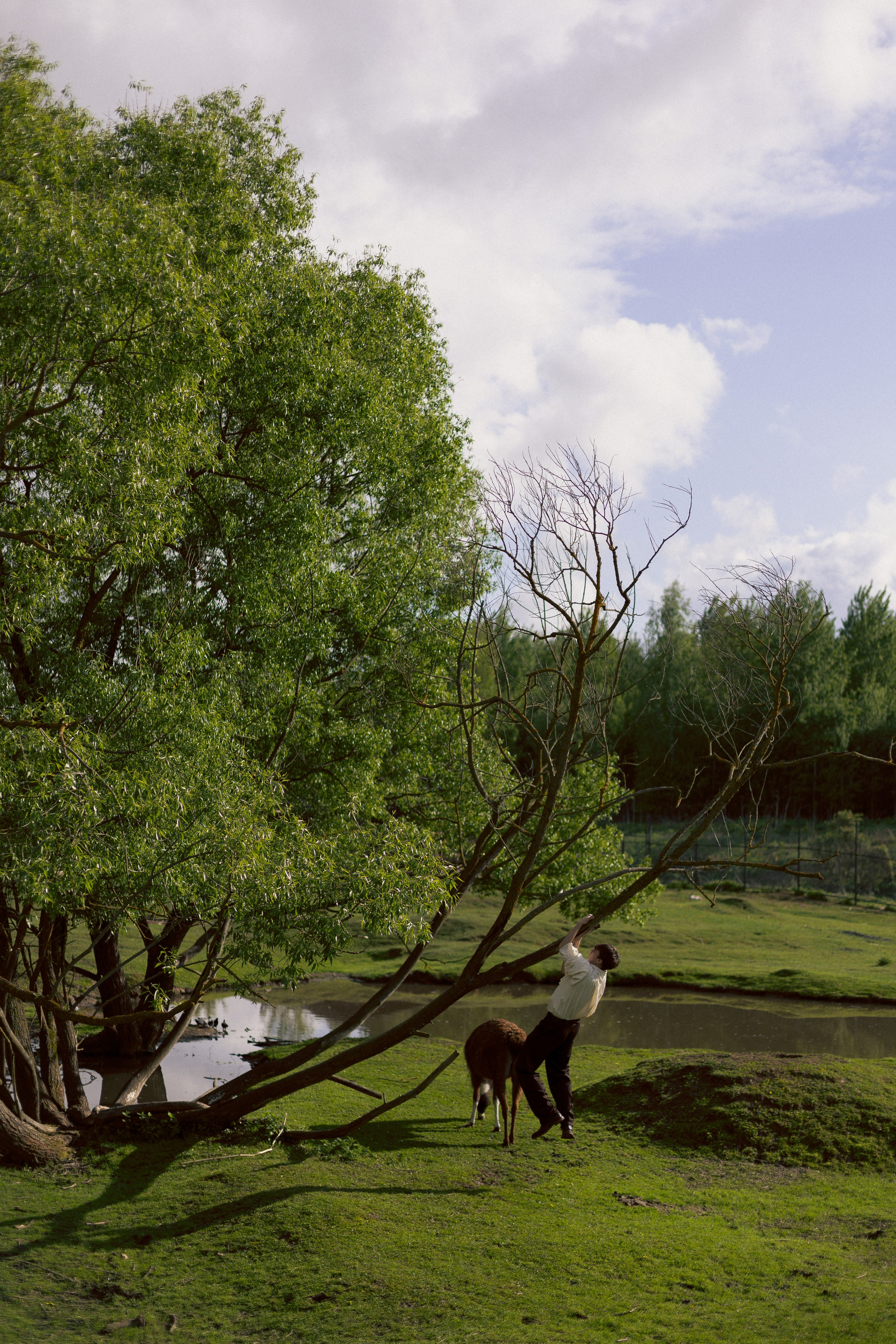 Святослав. Фотограф & Видеомейкер в Москве