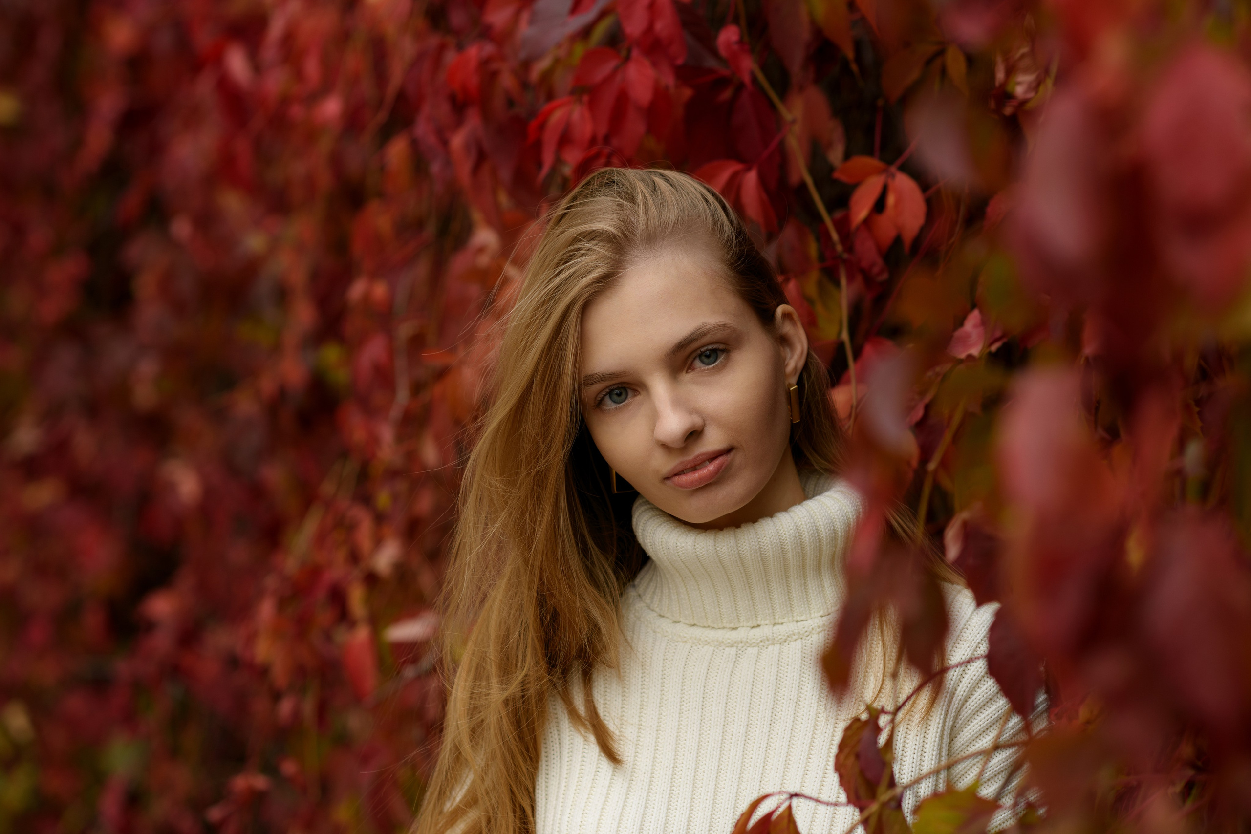 Майя. Главная