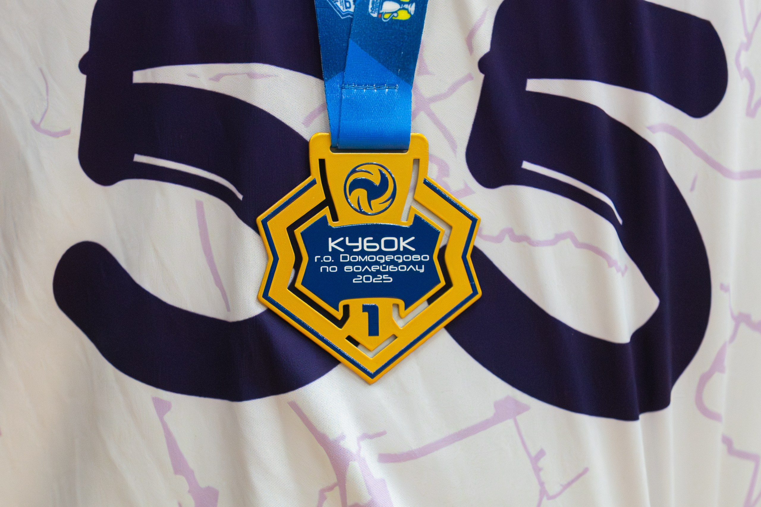 Кубок г. о. Домодедово по волейболу. Финальный день. Спортивная фотосъемка в Москве и Московской области — Спорт в Москве