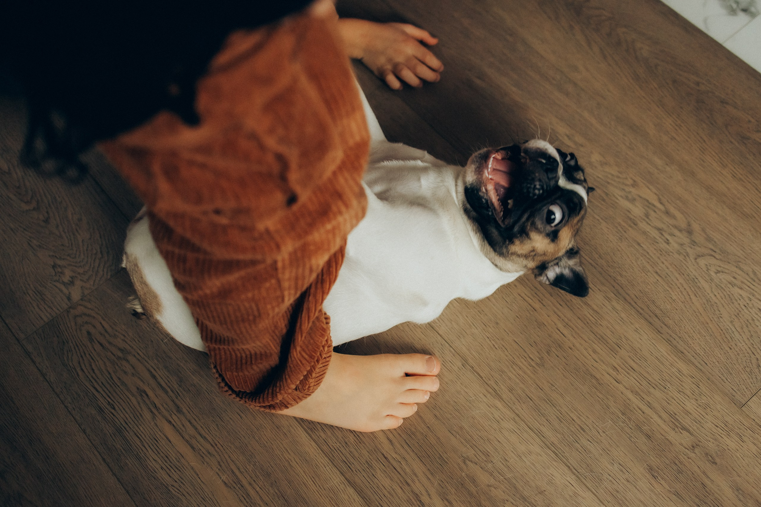 Руслан, Тимур и Луна. Семейный фотограф Москва