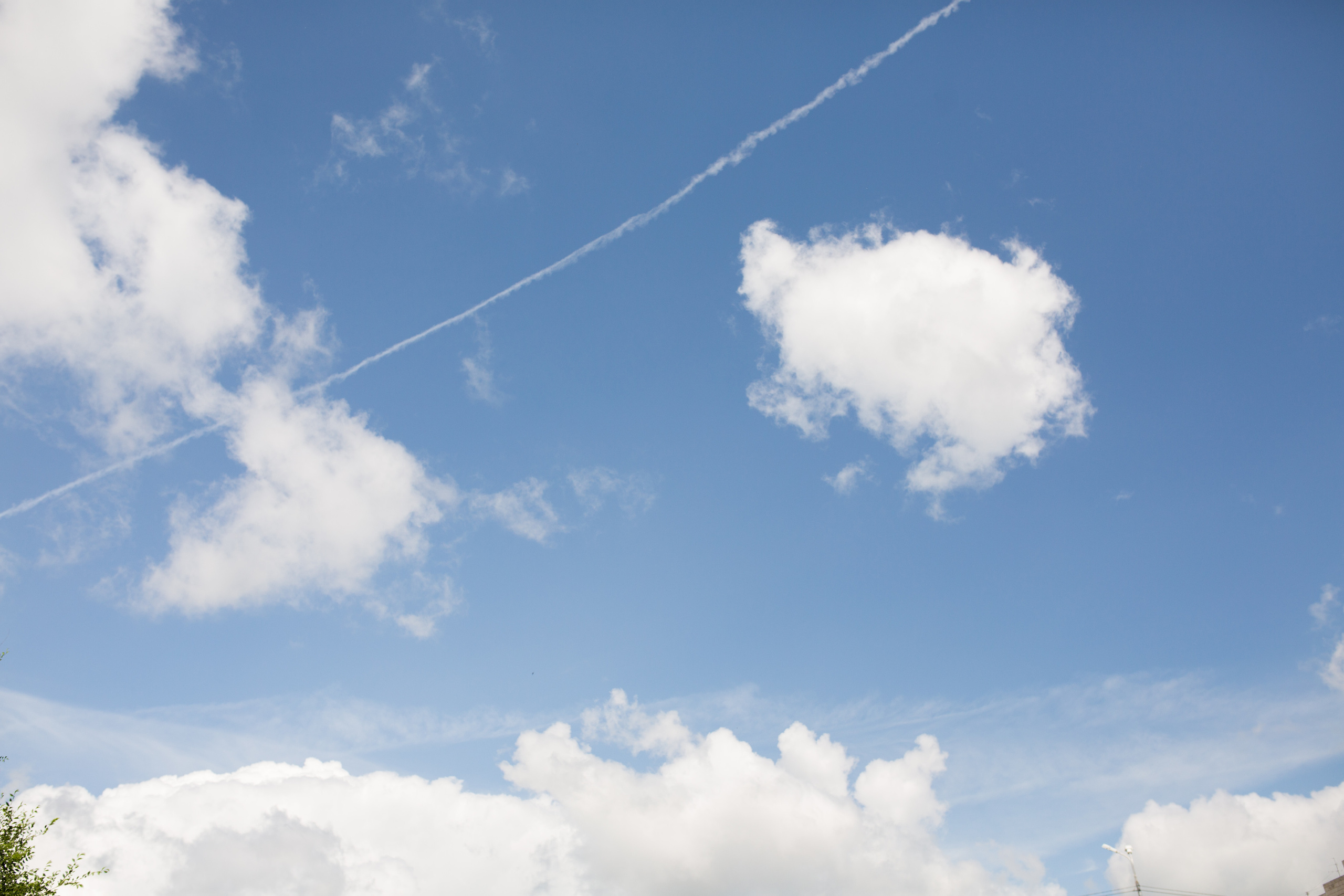 Вероника и Илья. Свадебный и семейный фотограф Сасина Элина г.Хабаровск