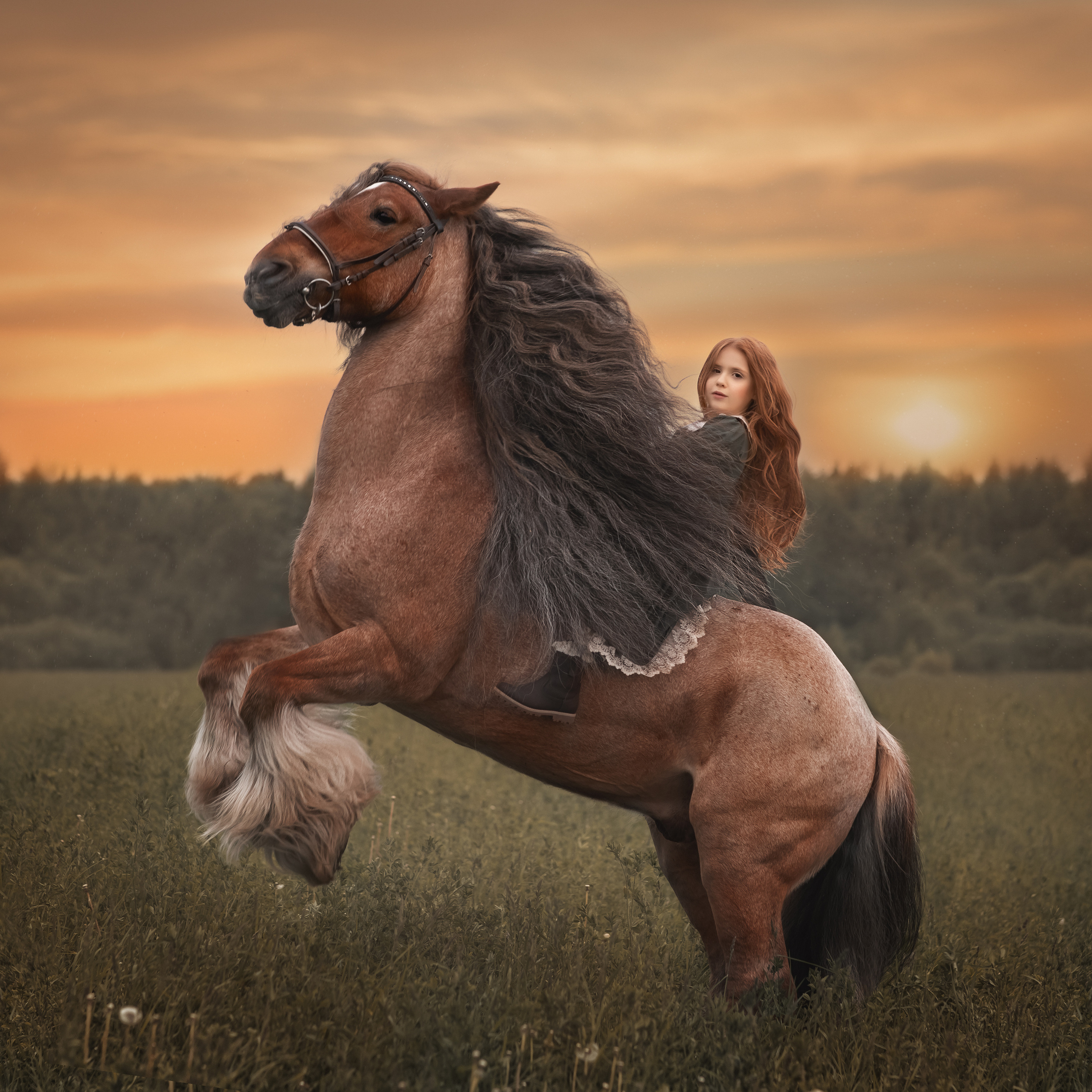 ФОТОСЕССИЯ С ЛОШАДЬМИ. Фотограф Москва