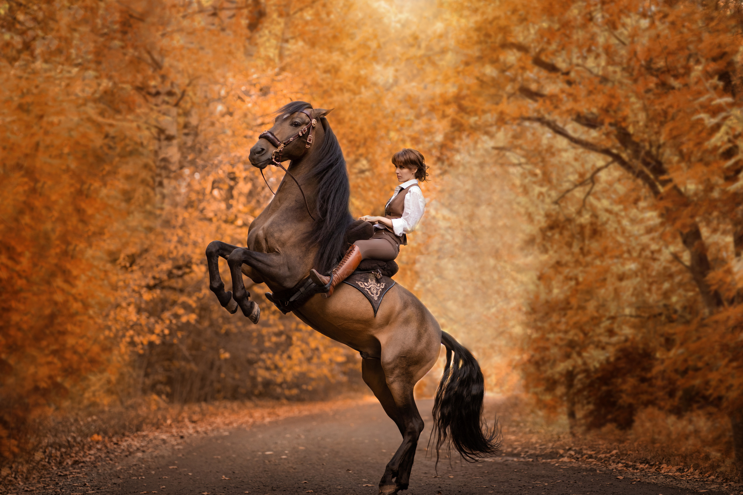 ФОТОСЕССИЯ С ЛОШАДЬМИ. Фотограф Москва