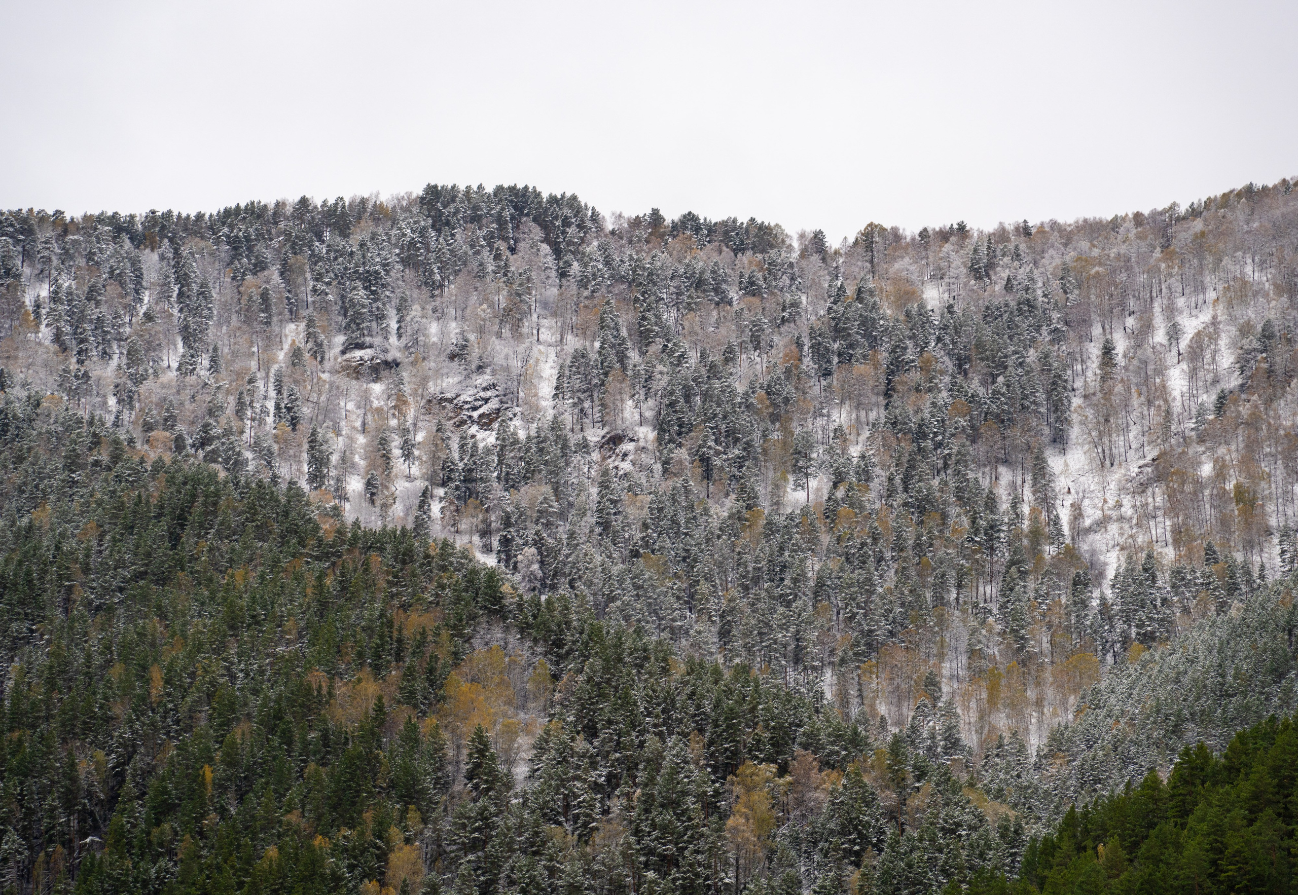 Чуйский тракт. Фотографии Тиграна Худавердяна