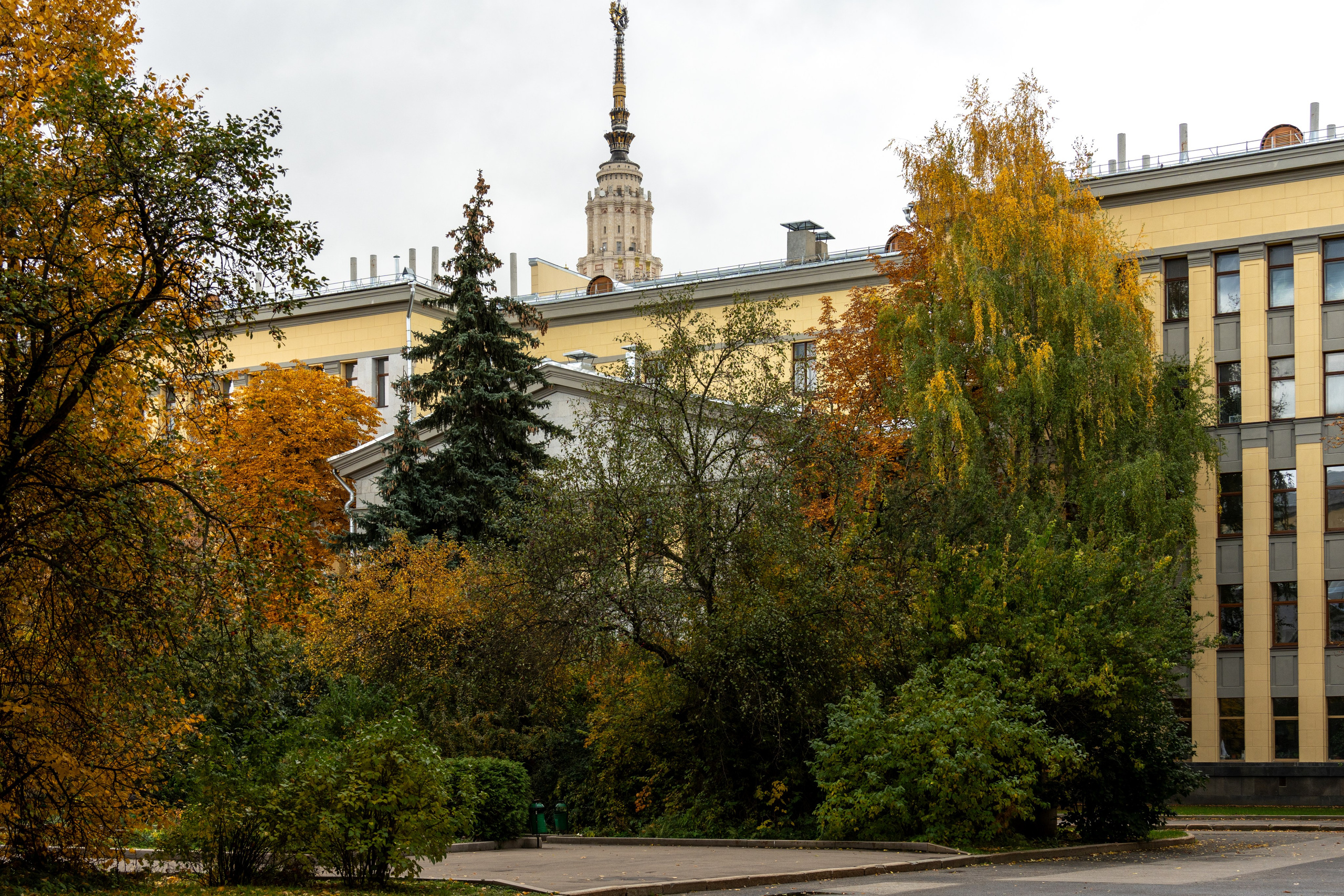 20251012 МГУ. Дмитрий Ремизов. Фотография, как хобби