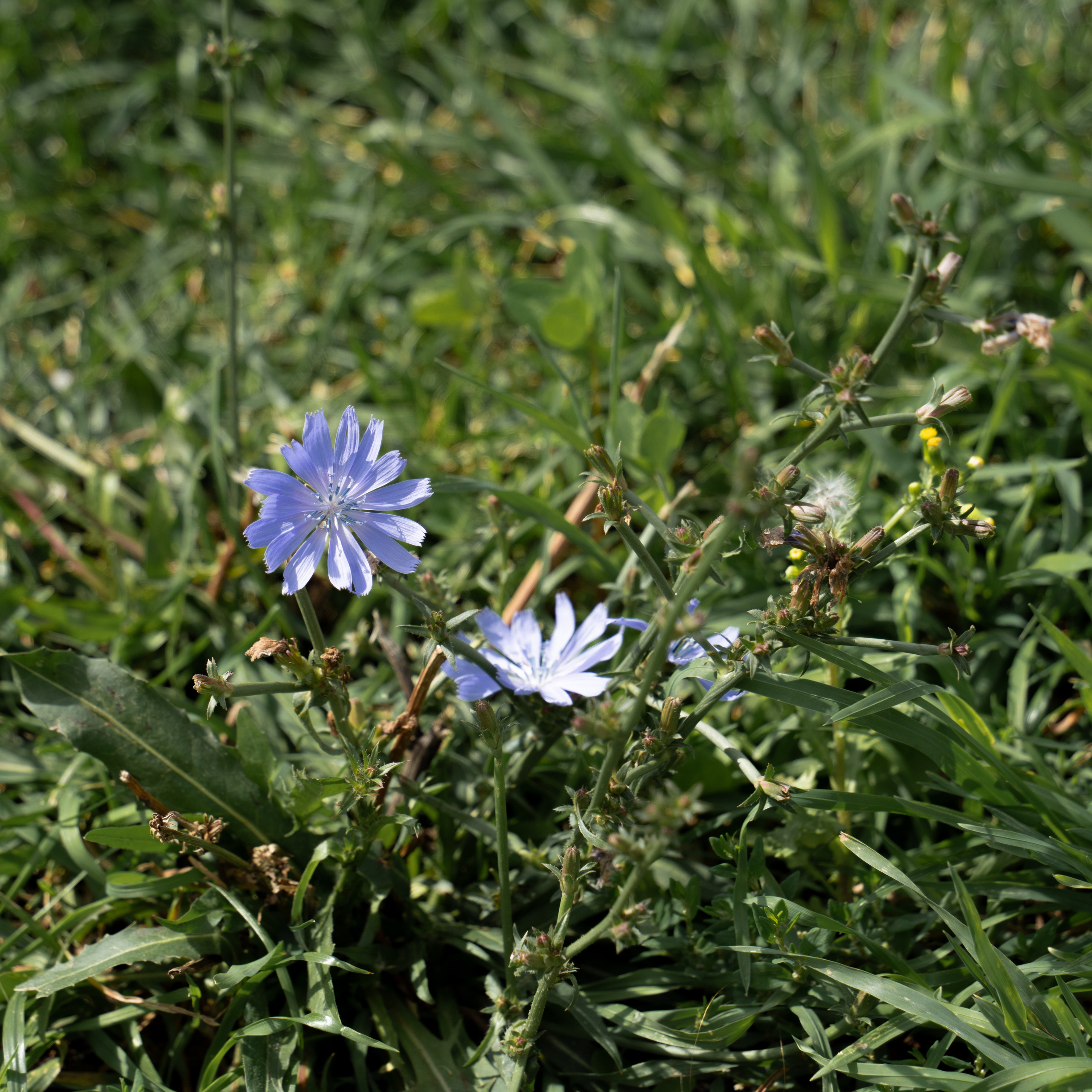 20250808 Прогулка с сыном. Дмитрий Ремизов. Фотография, как хобби