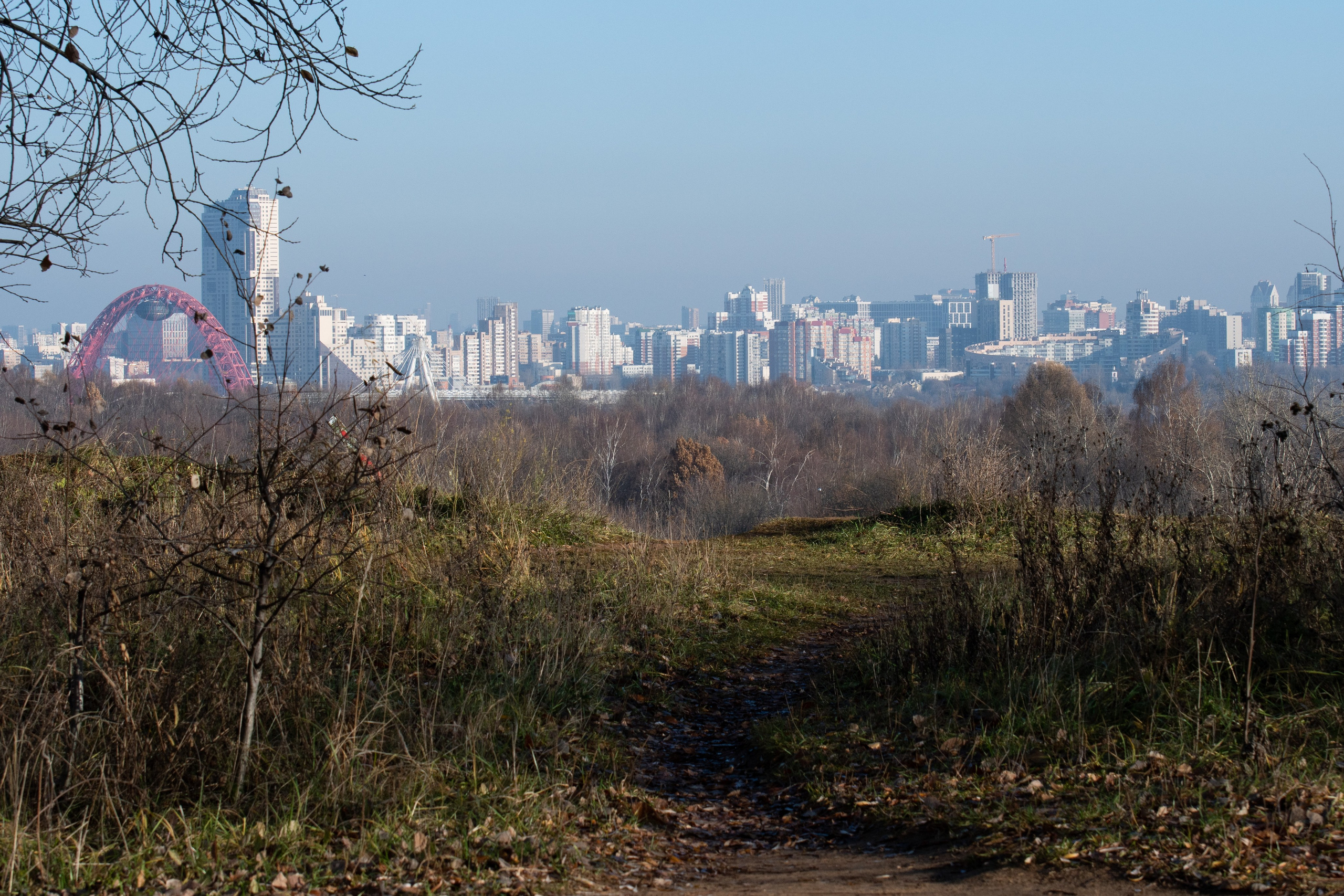 20211031 Крылатское. Дмитрий Ремизов. Фотография, как хобби