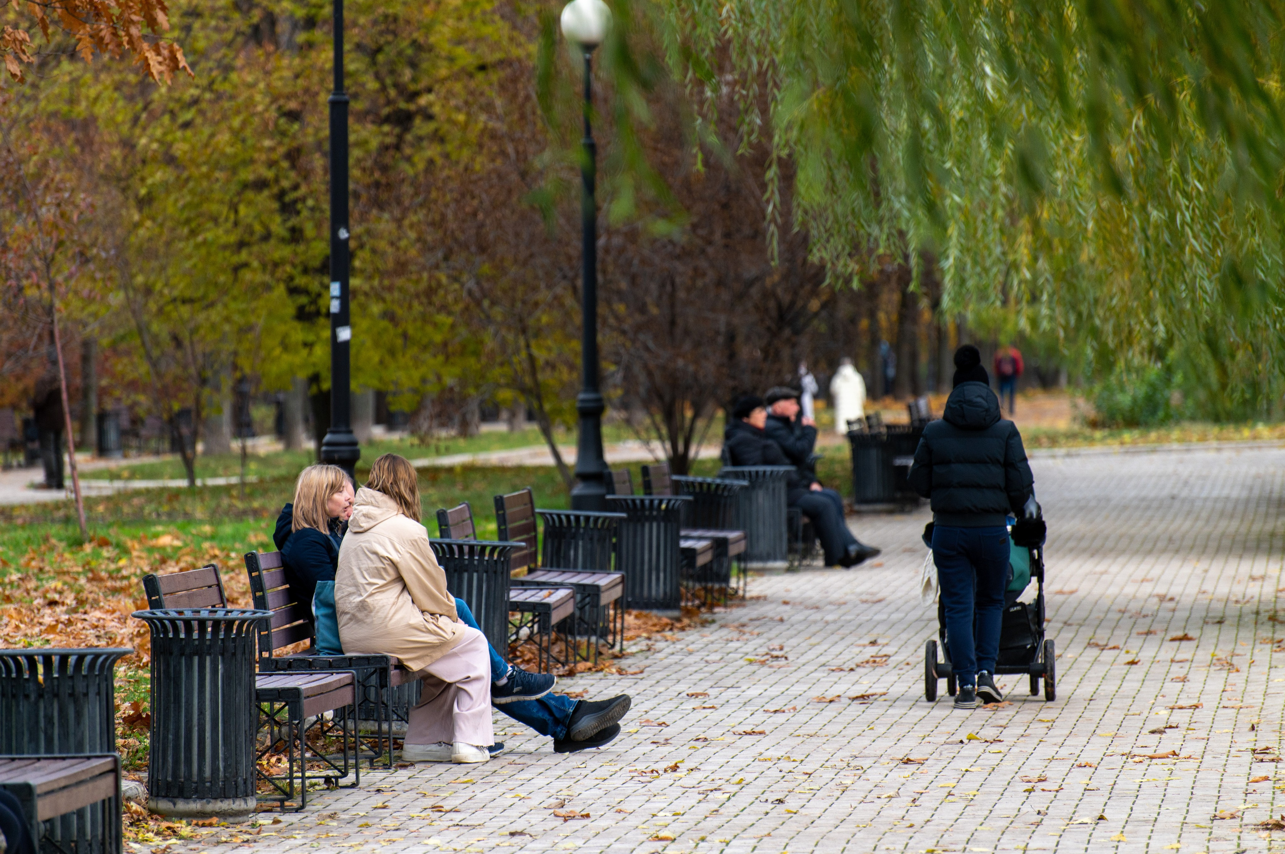 20221030 Новодевичий. Дмитрий Ремизов. Фотография, как хобби