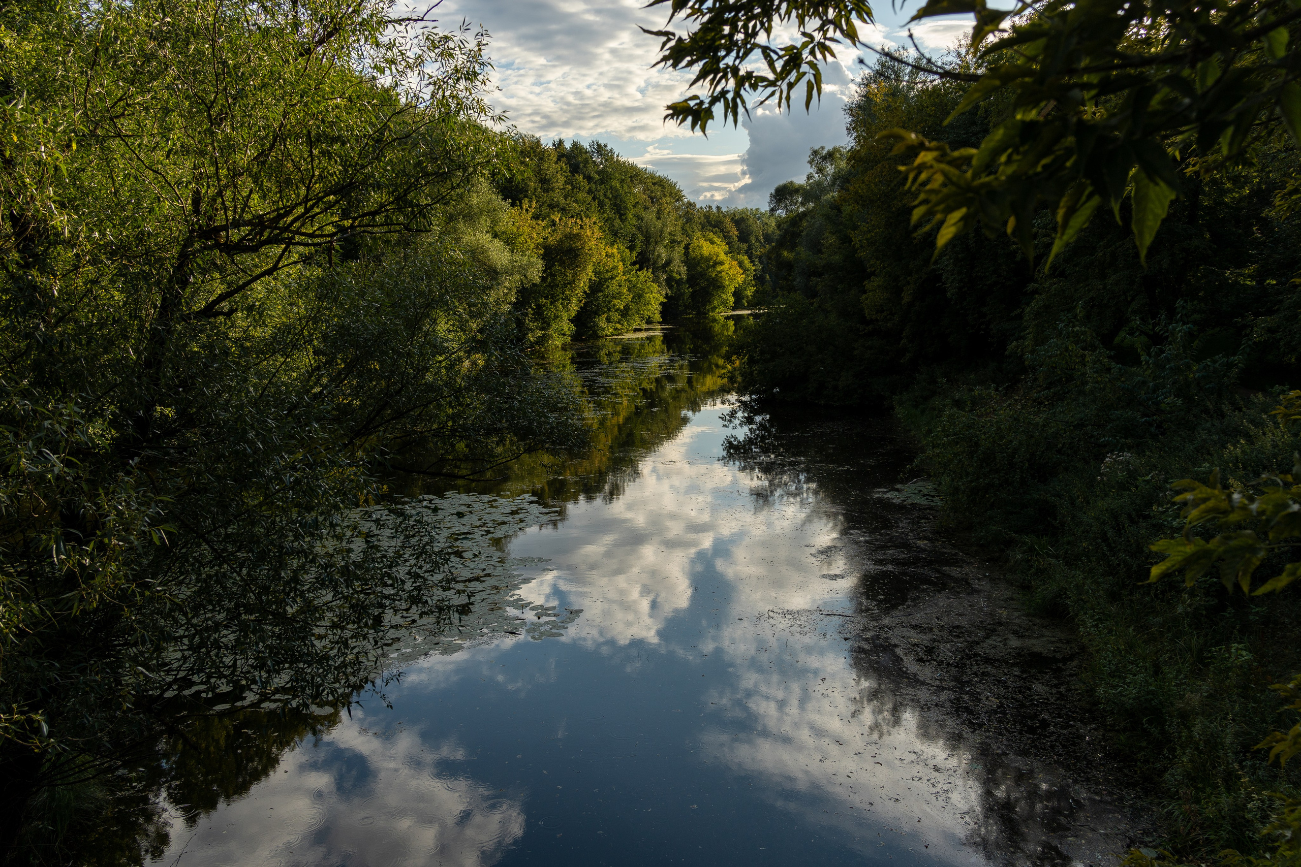 20250817 Измайлово. Дмитрий Ремизов. Фотография, как хобби