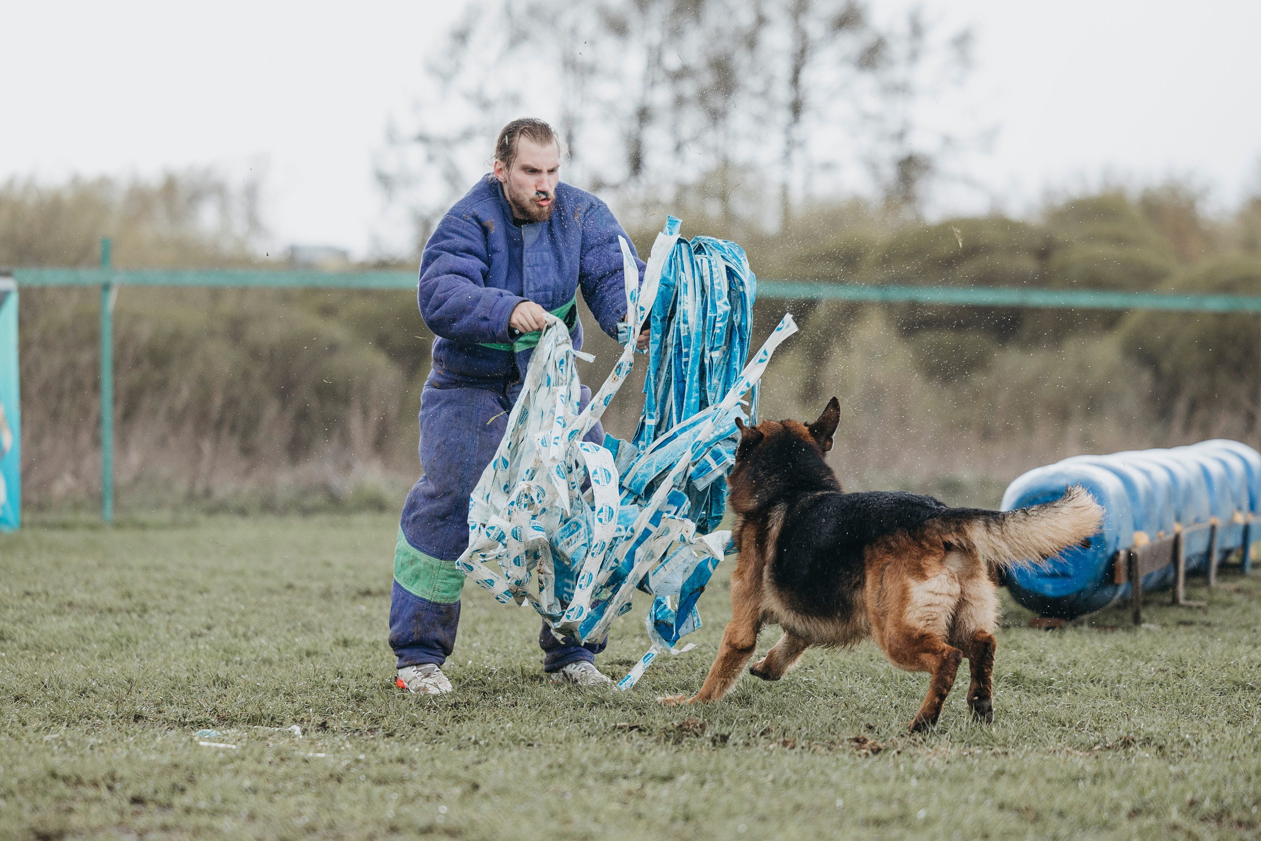 09.05.25 Вологда соревнования. Фотограф-анималист Анна Маринич