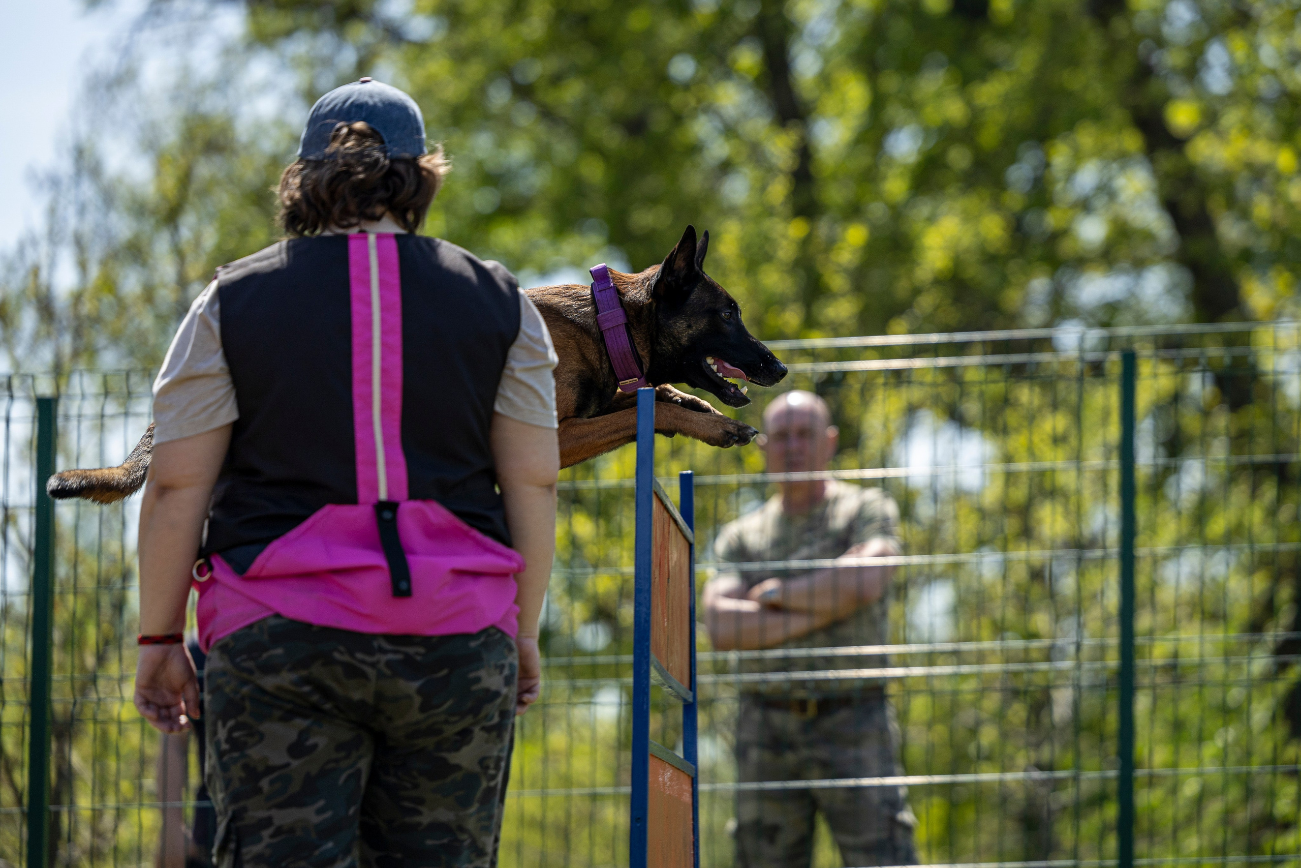 Испытания по мондьорингу в Нижнем Новгороде. Фотограф-анималист Анна Маринич