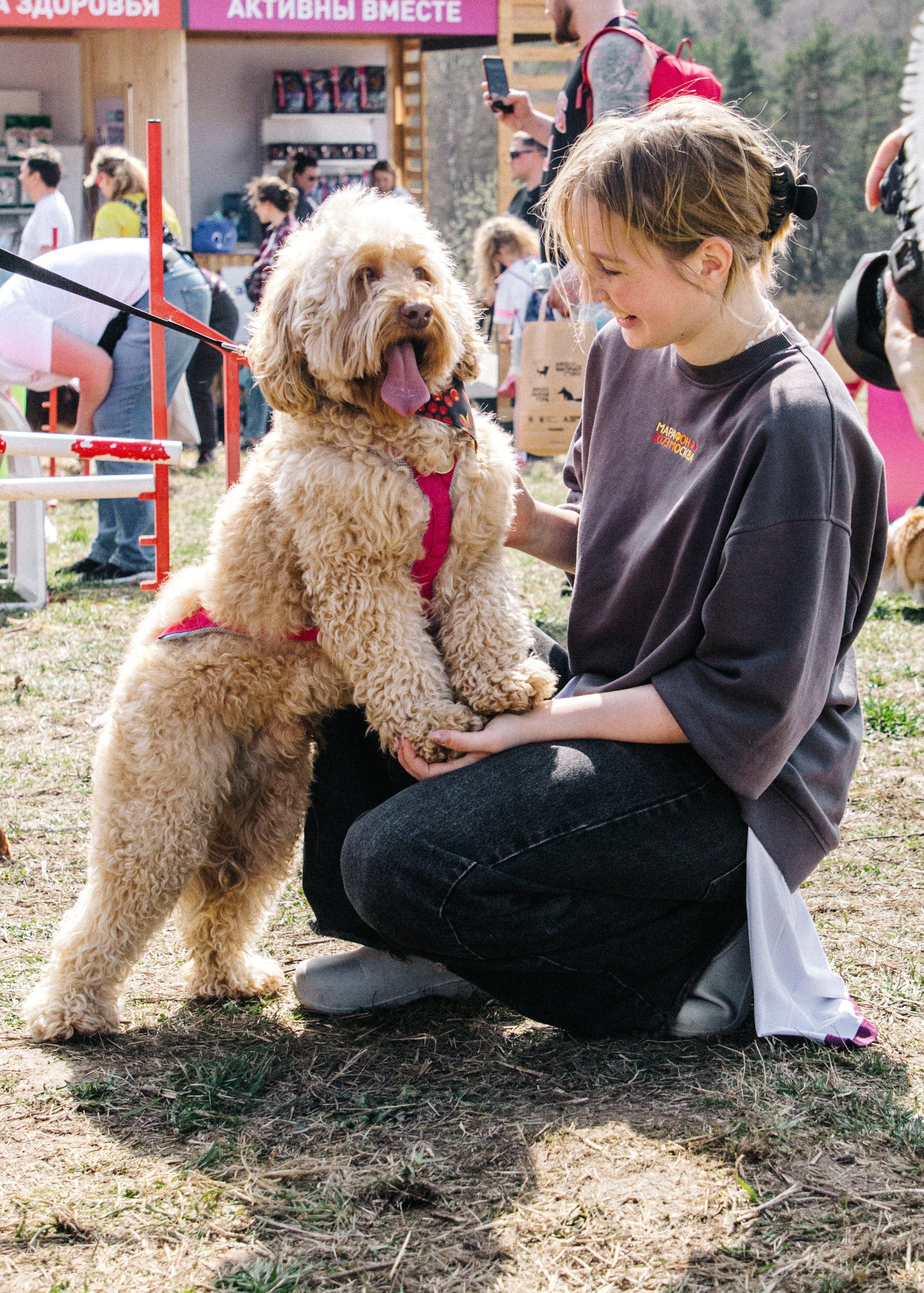Кросс «Быстрый пёс» 2025. Репортажный фотограф в Москве