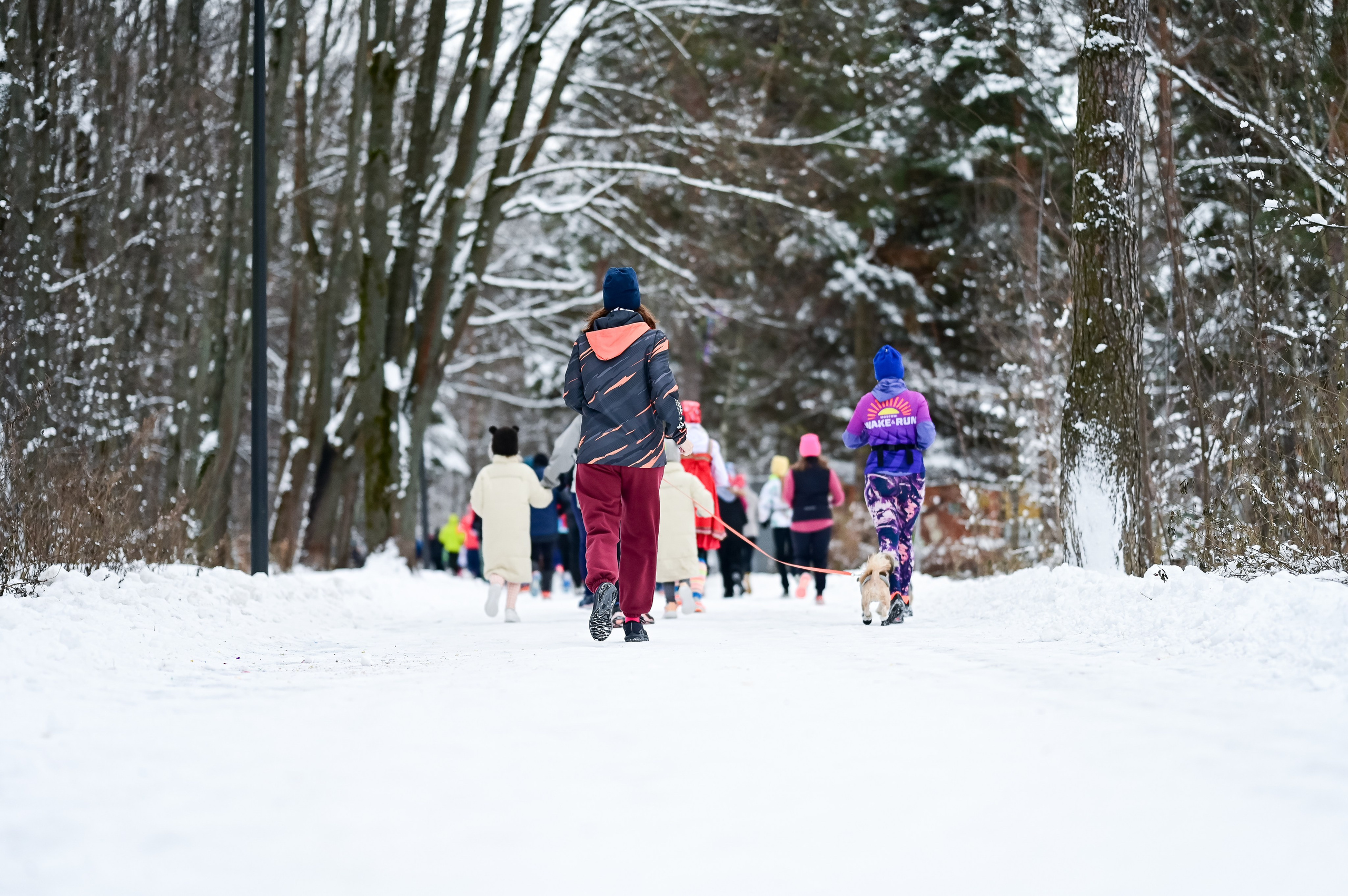 Новогодний S95 Кузьминки (01.01.25). Фотограф | Ирина Гамзинова | Москва