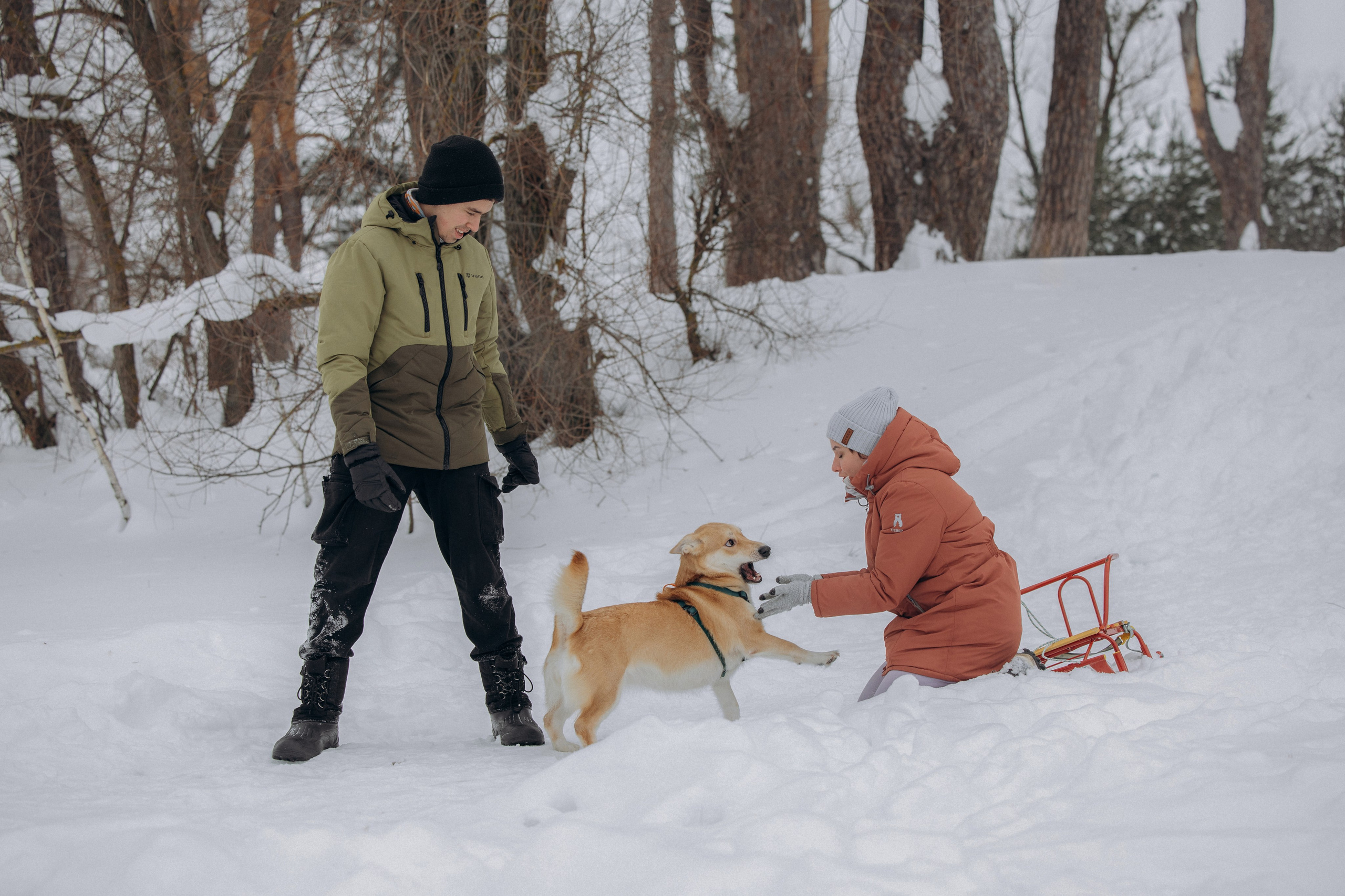 Прогулка на озере зимой. Фотограф анималист в Казани Алина Сулейманова. Фотограф животных