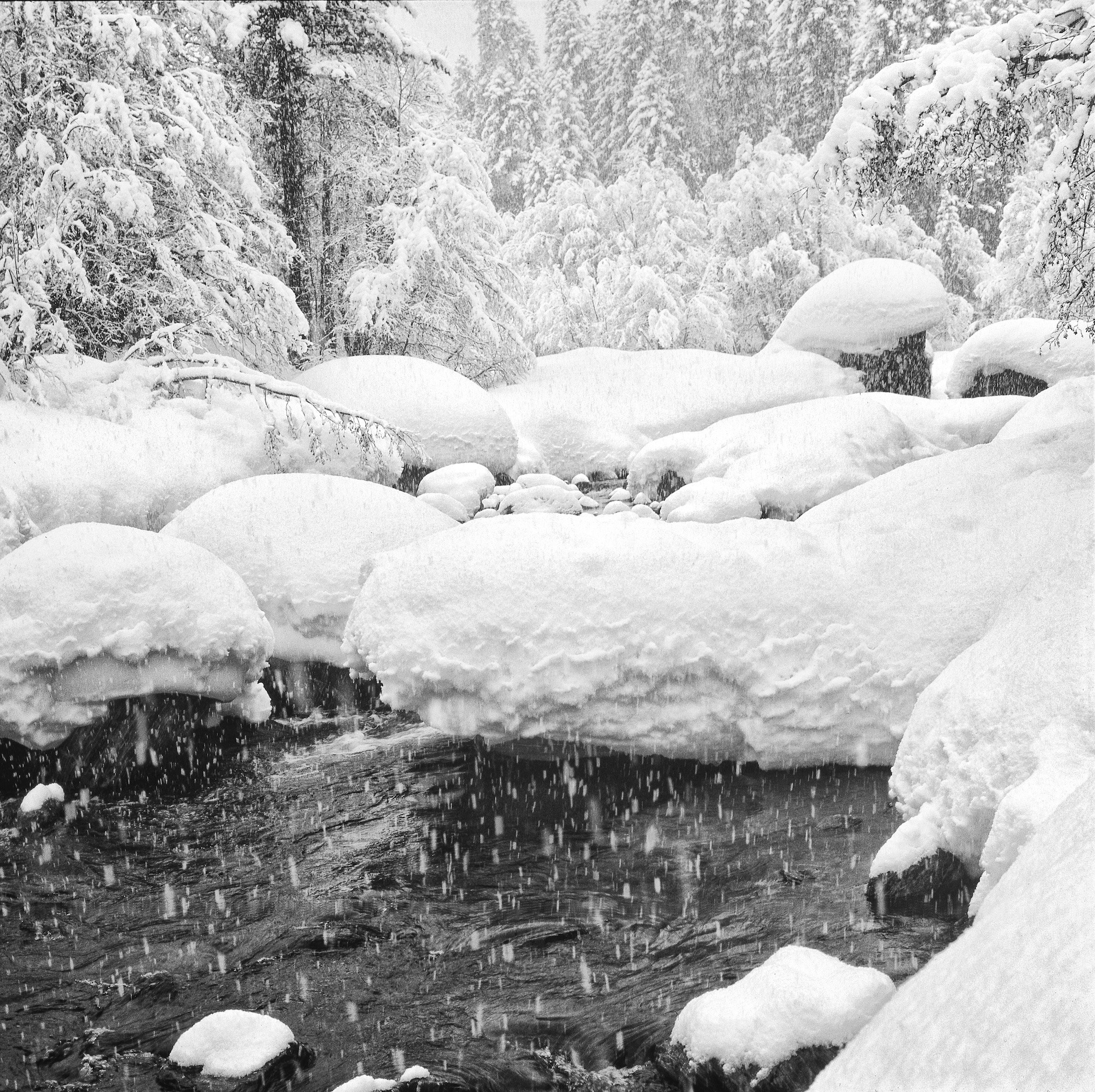Черно-белая фотография. ВАДИМ ГИППЕНРЕЙТЕР — ВЕЛИКИЙ ФОТОГРАФ ЗЕМЛИ РУССКОЙ