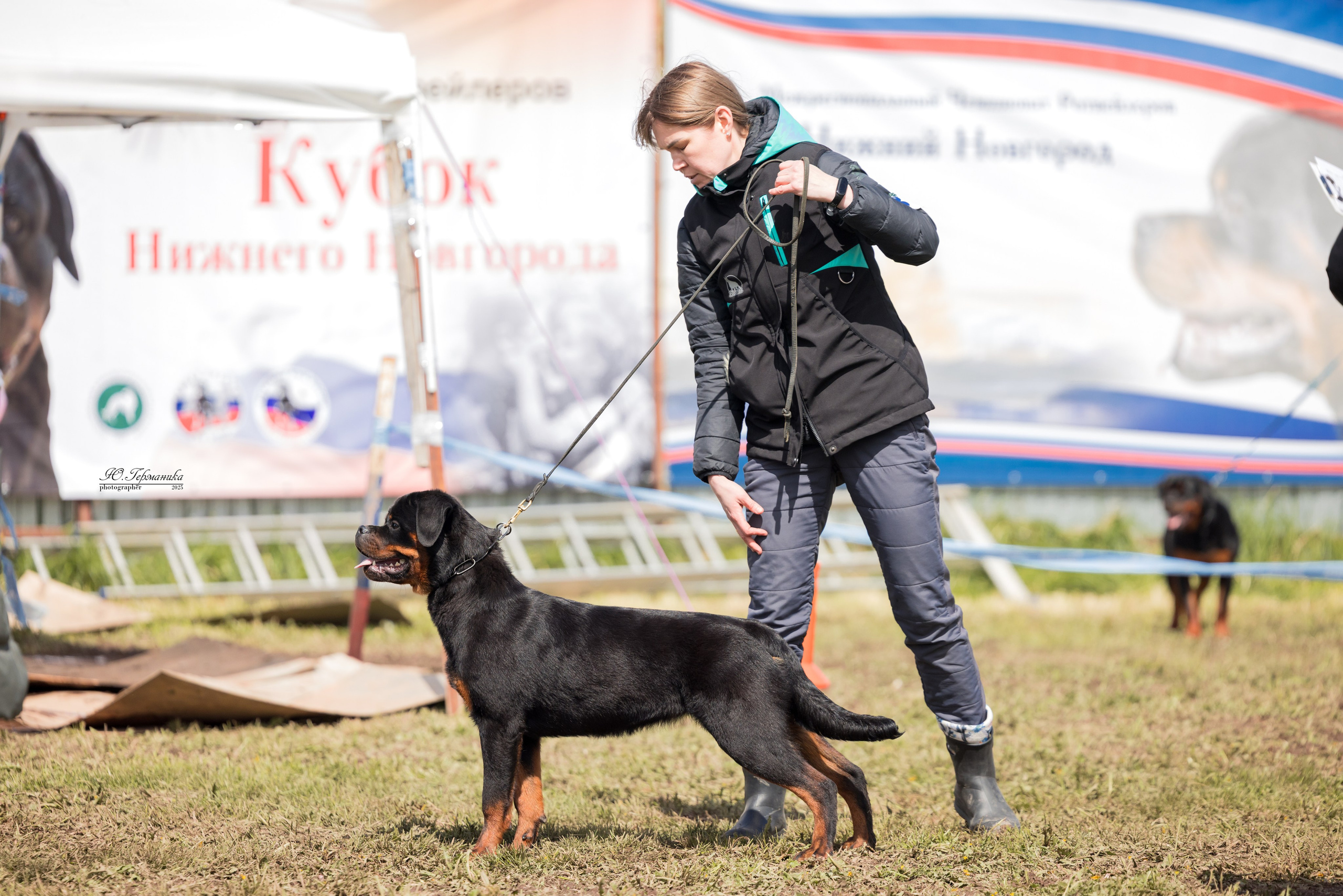 Нижний Новгород 2хмоно ротвейлеров 10-11.05.2025. Фотограф-анималист Юлия Германика