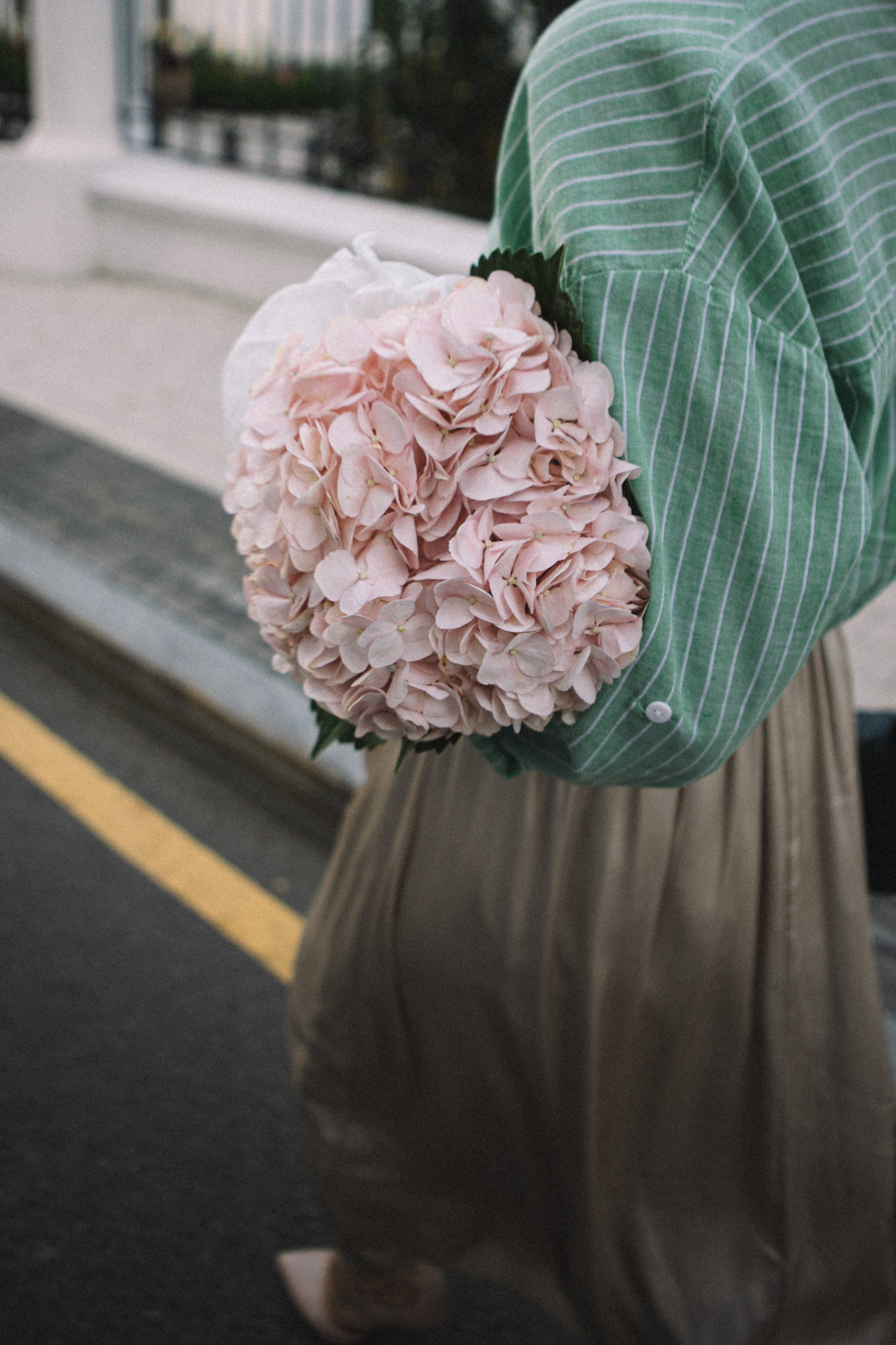 Эля. Главная