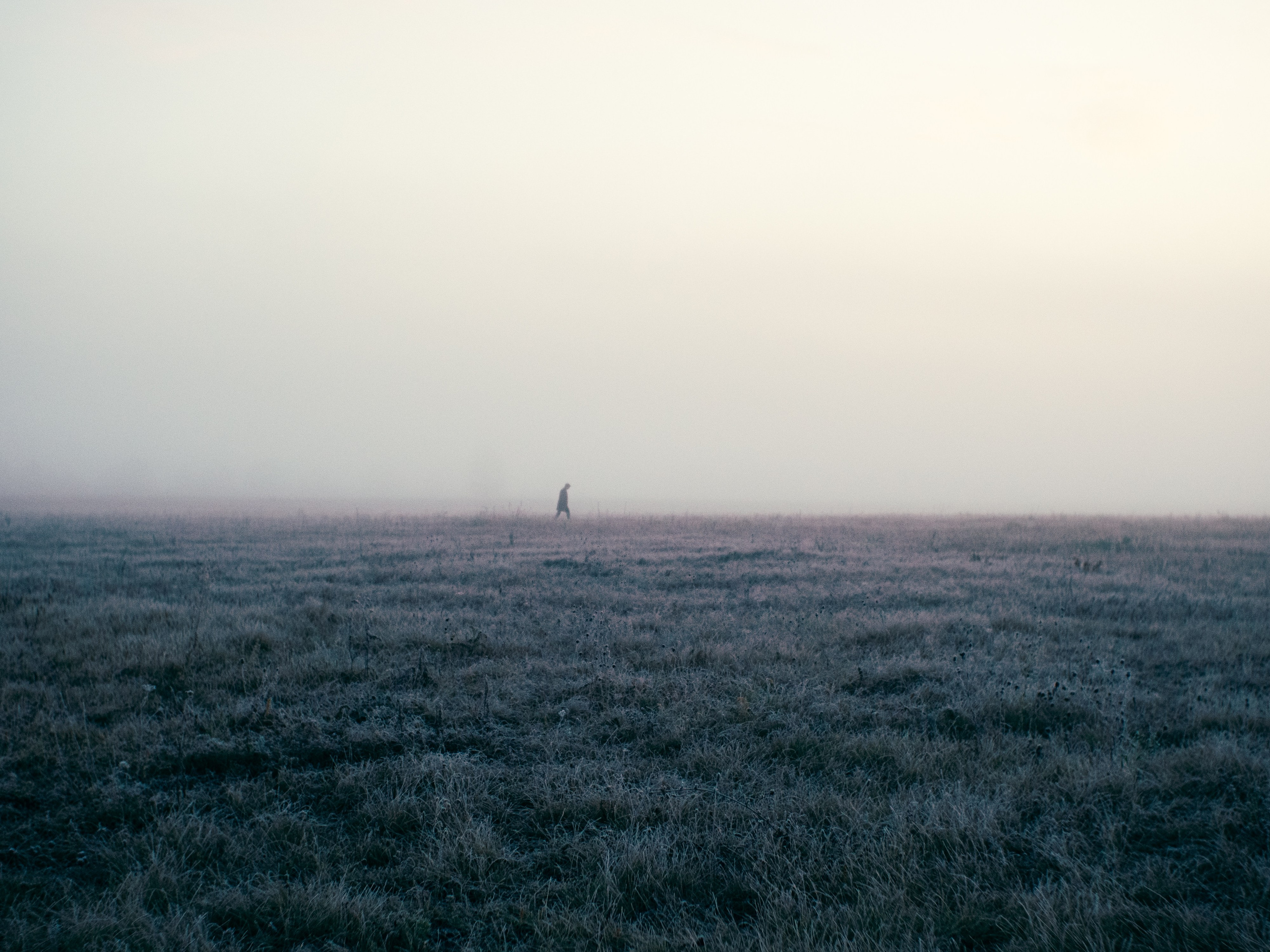 Nightwalker. Фотоистории