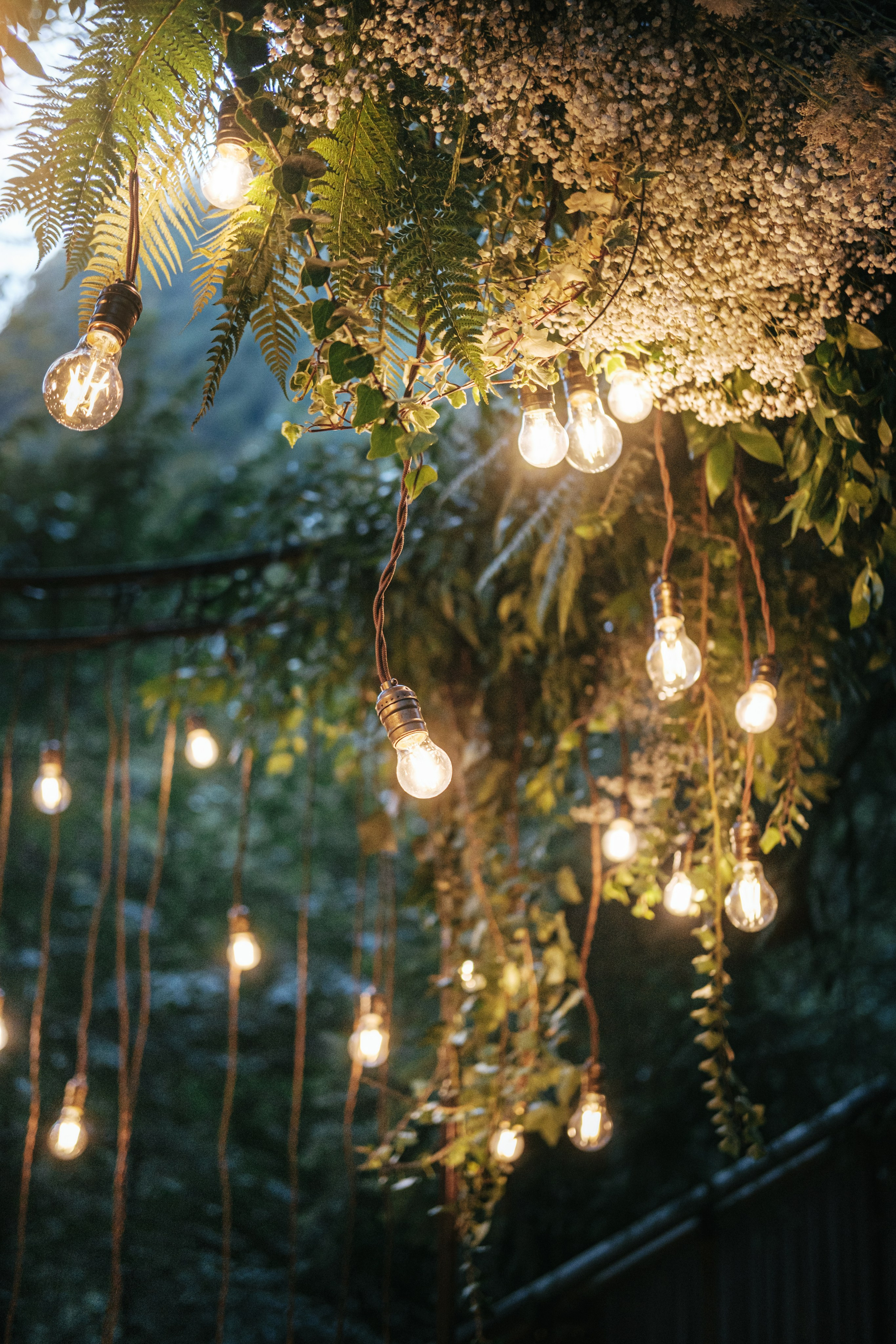 Кот и Дракон. Свадебный Видеограф Фотограф в Сочи