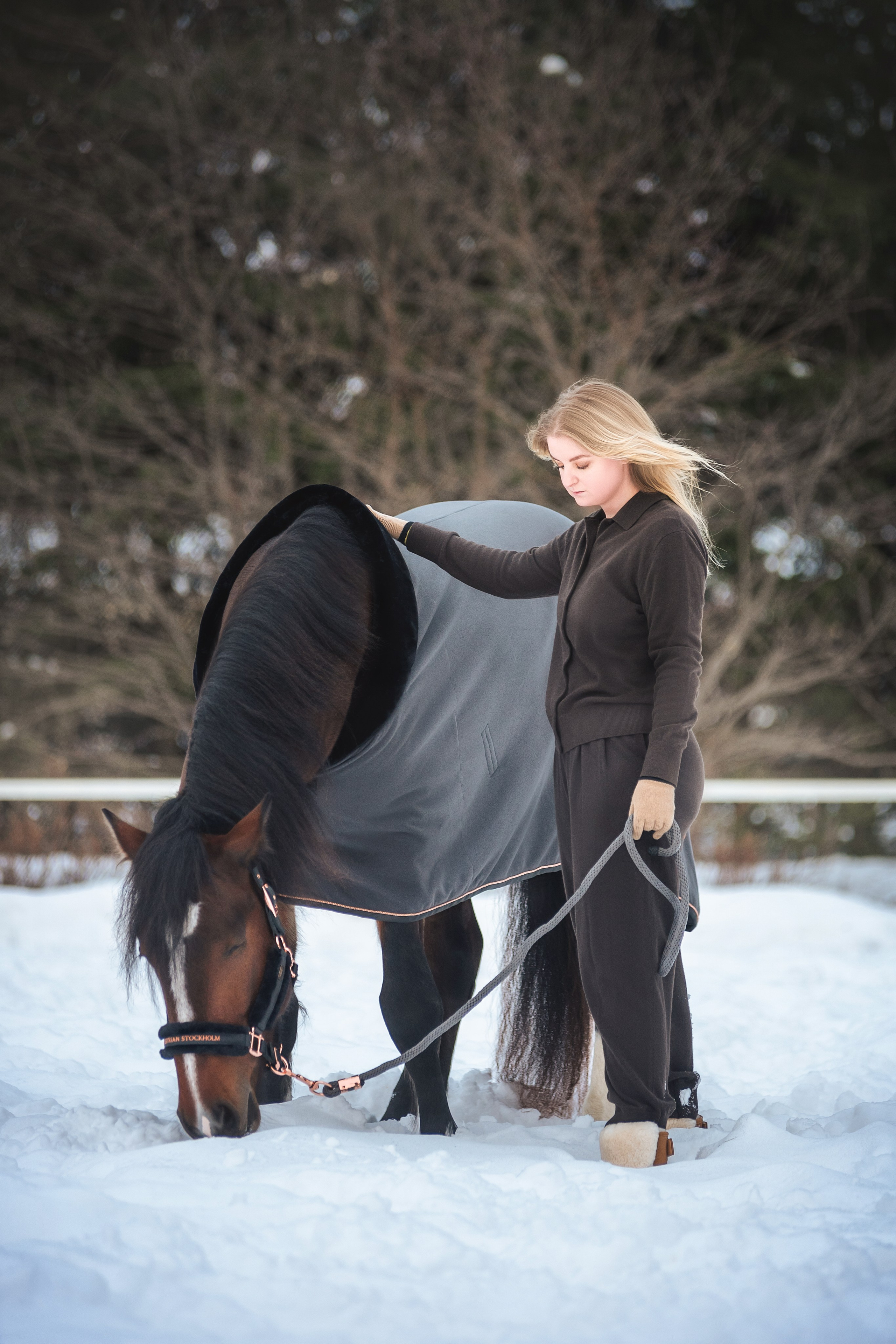 Новогодний Волконский. Конный фотограф Куракина Дарья • Фотосессии с лошадьми