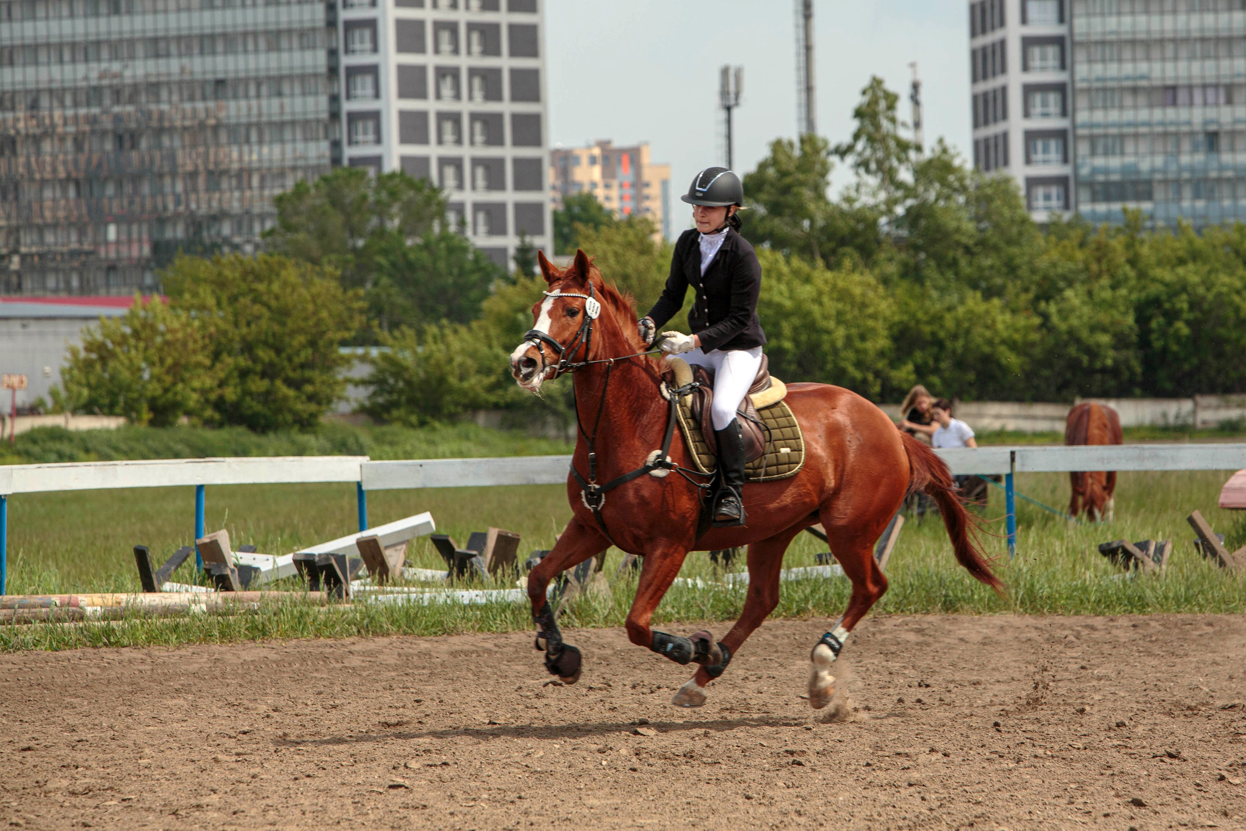 2024. Конный фотограф в Красноярске — Любовь Похабова