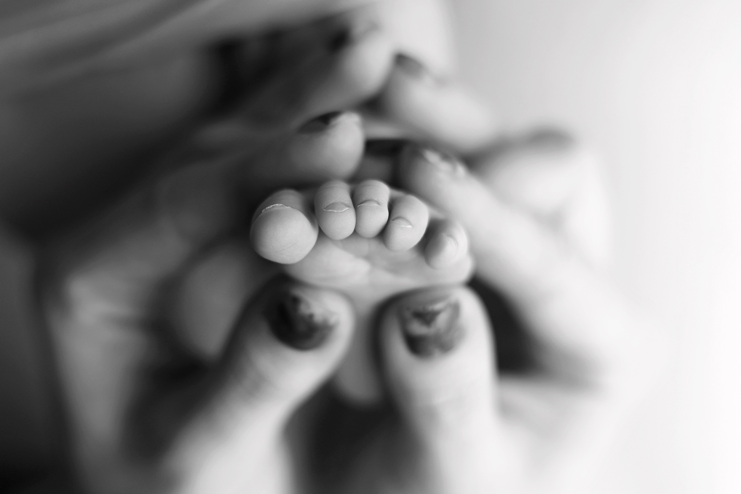 Ньюборн съемка Саввы. Фотограф новорожденных Столярова Светлана. Фотограф новорожденных Москва. Ньюборн фотограф Москва