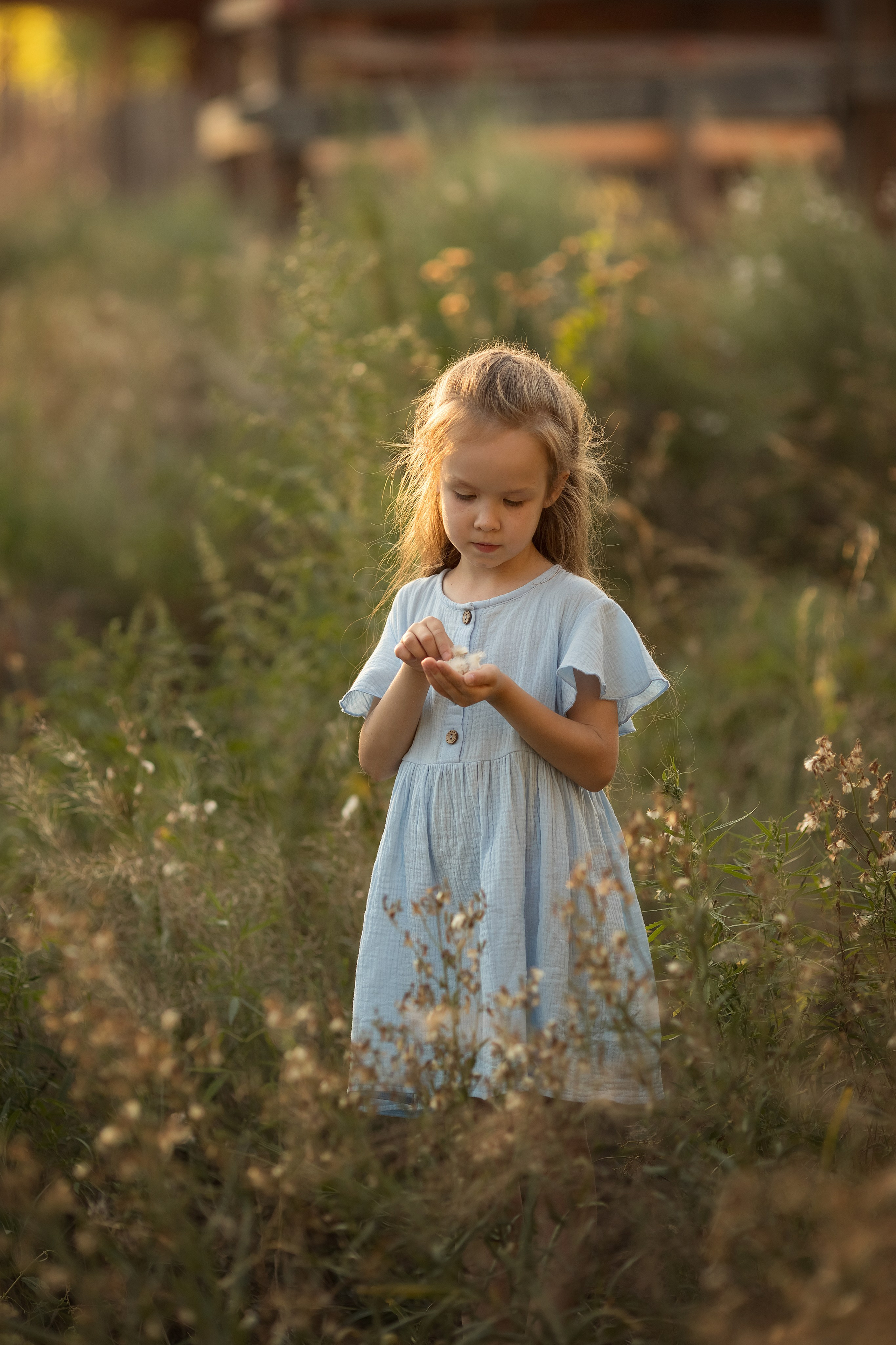 Семейное лето. Семейный и детский фотограф в Саратове Полина Коткина