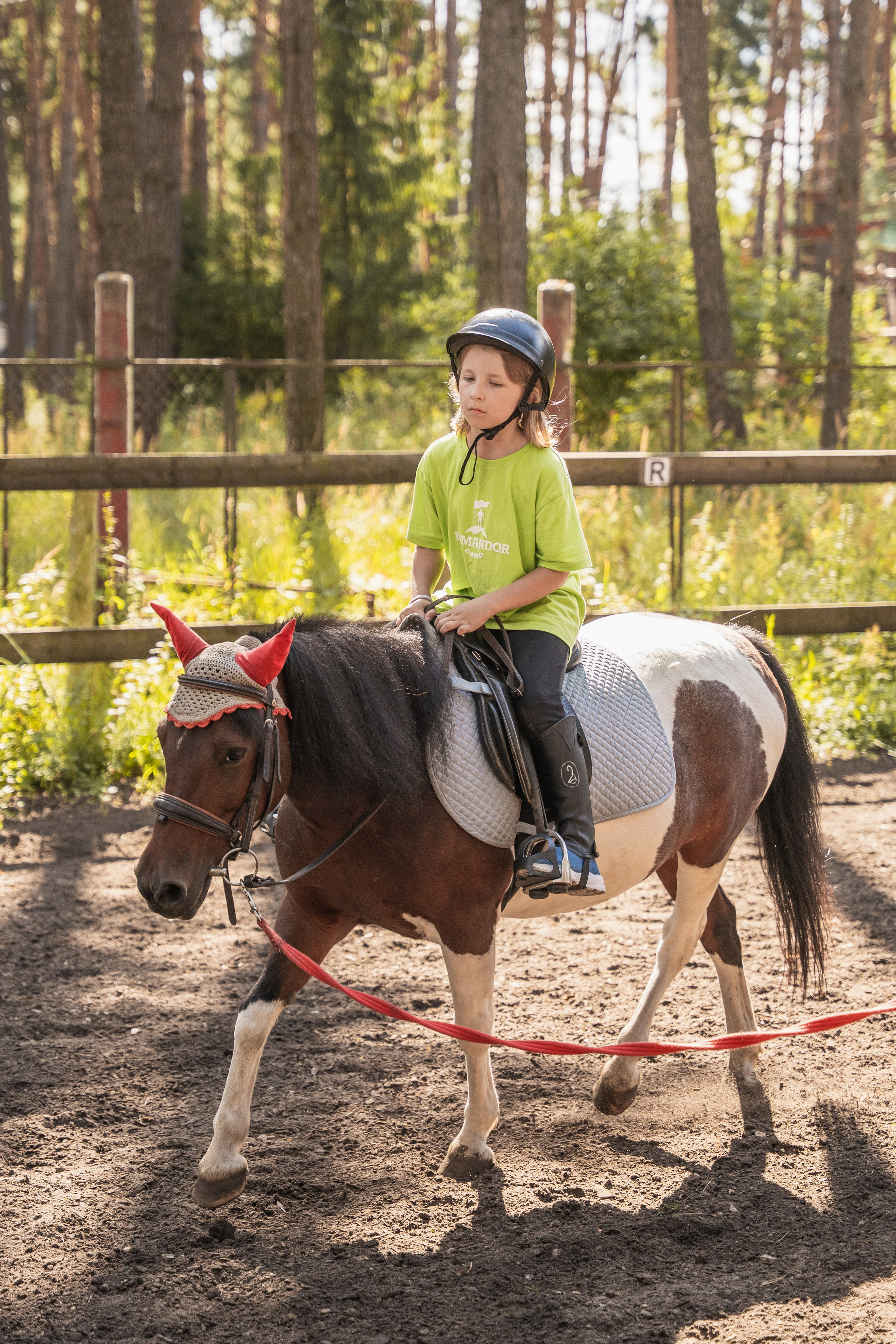 Конное занятие. Главная