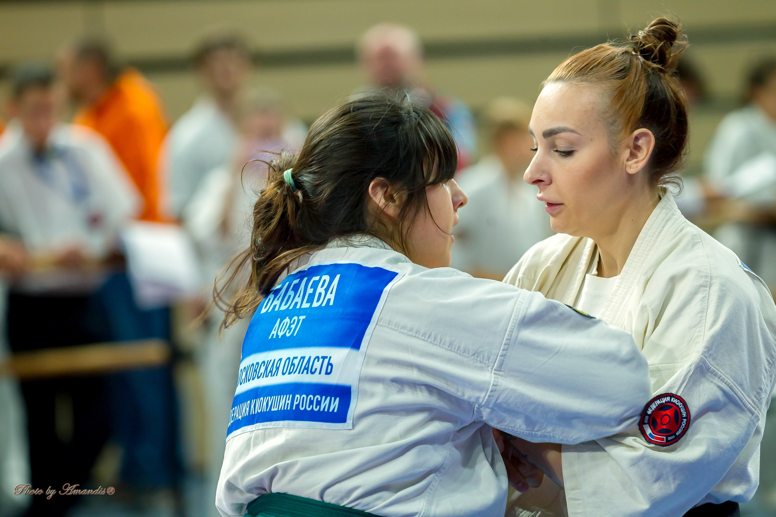 Первенство Московской области по Киокушин в СК «Жаворонки». Репортажная съемка в Москве и области. Анималистика