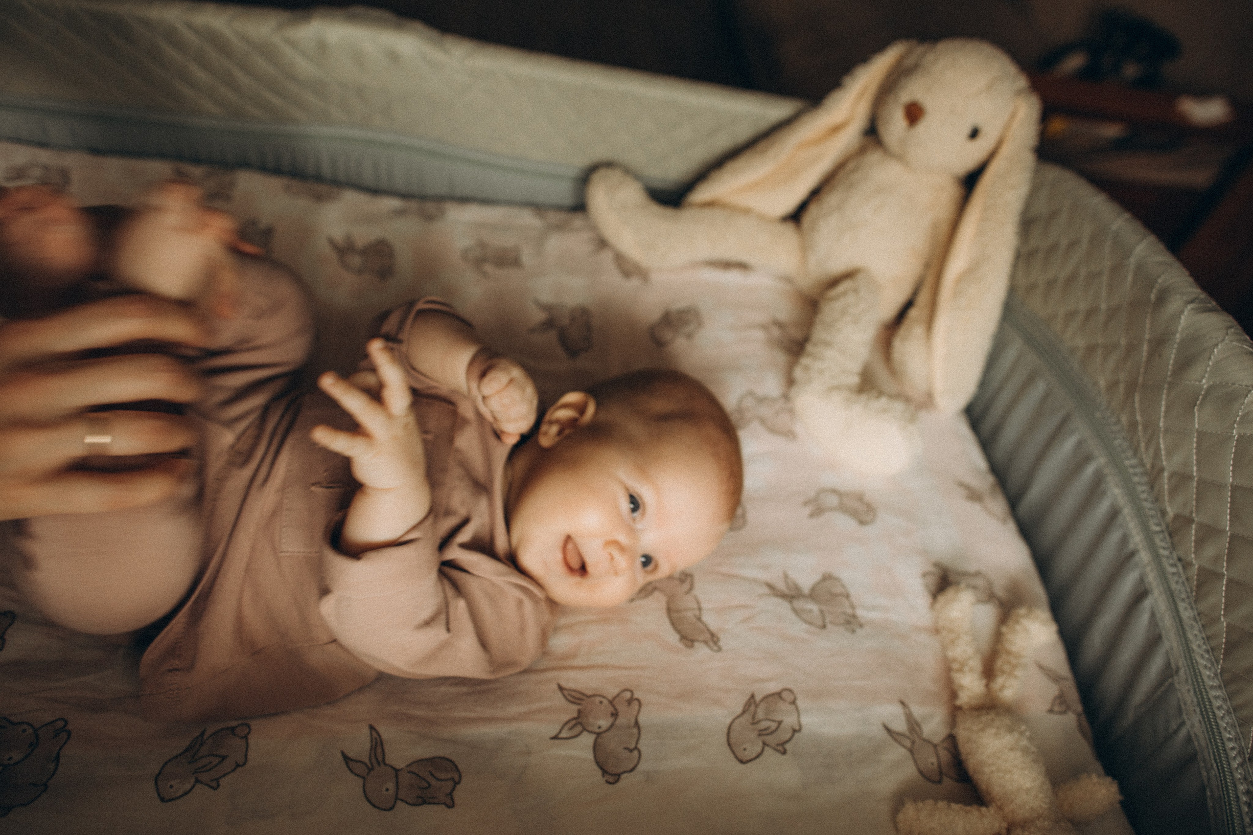 Лиза и Мира. Семейный фотограф в Краснодаре Анна Пасик