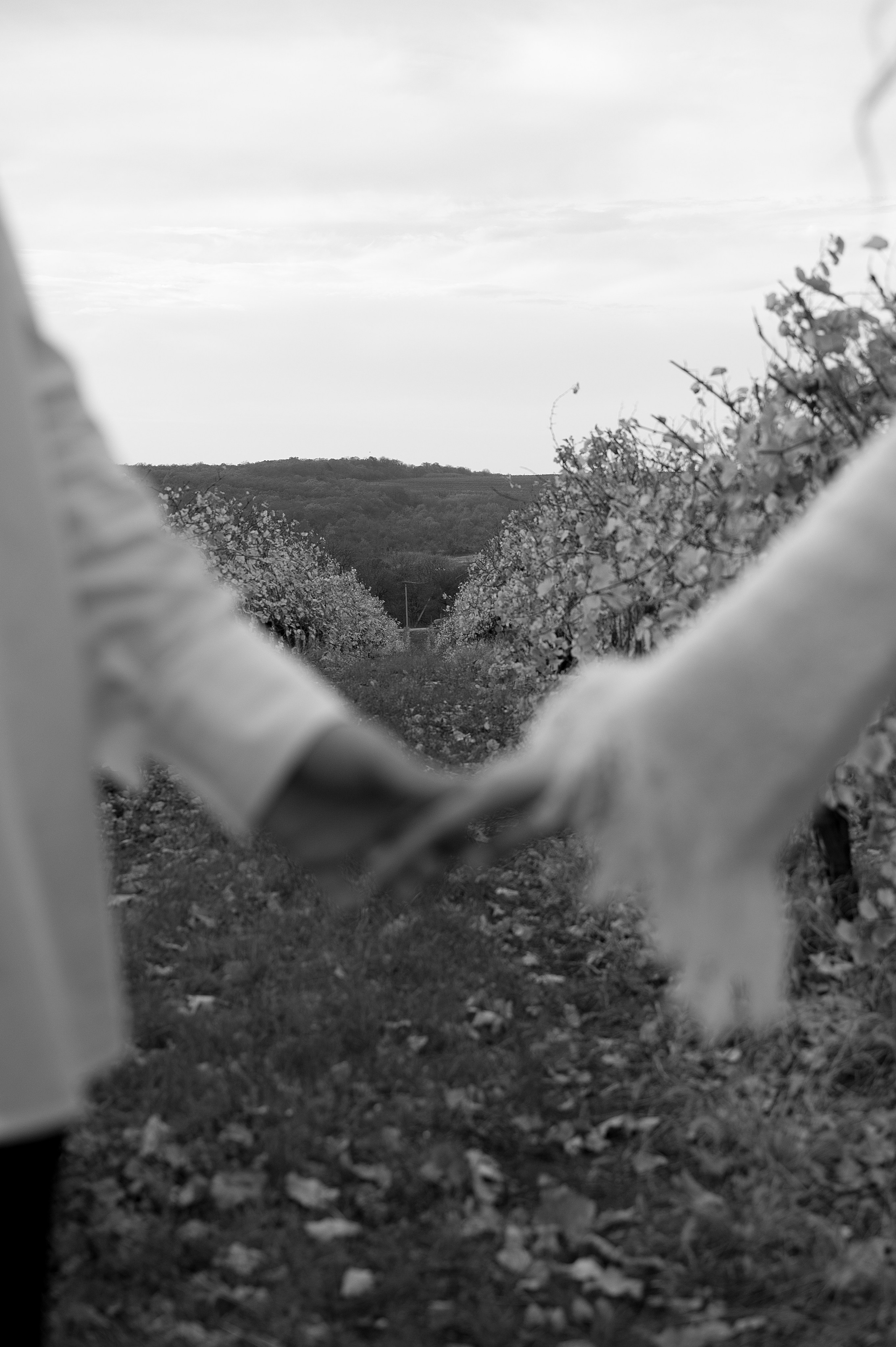 Стас и Саша. Свадебный фотограф и видеограф