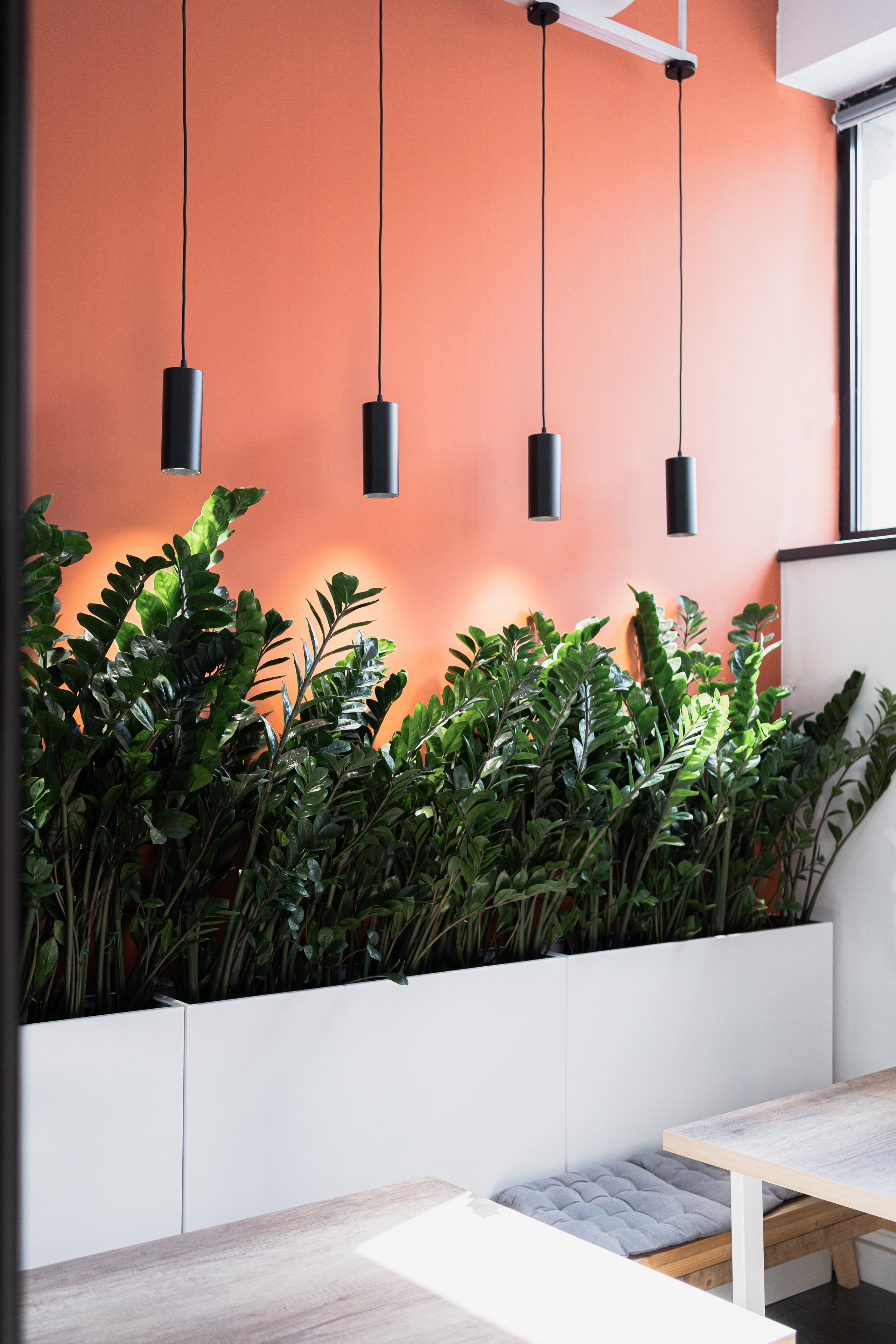 Terra. Елена Пашкевич, фотограф, Москва