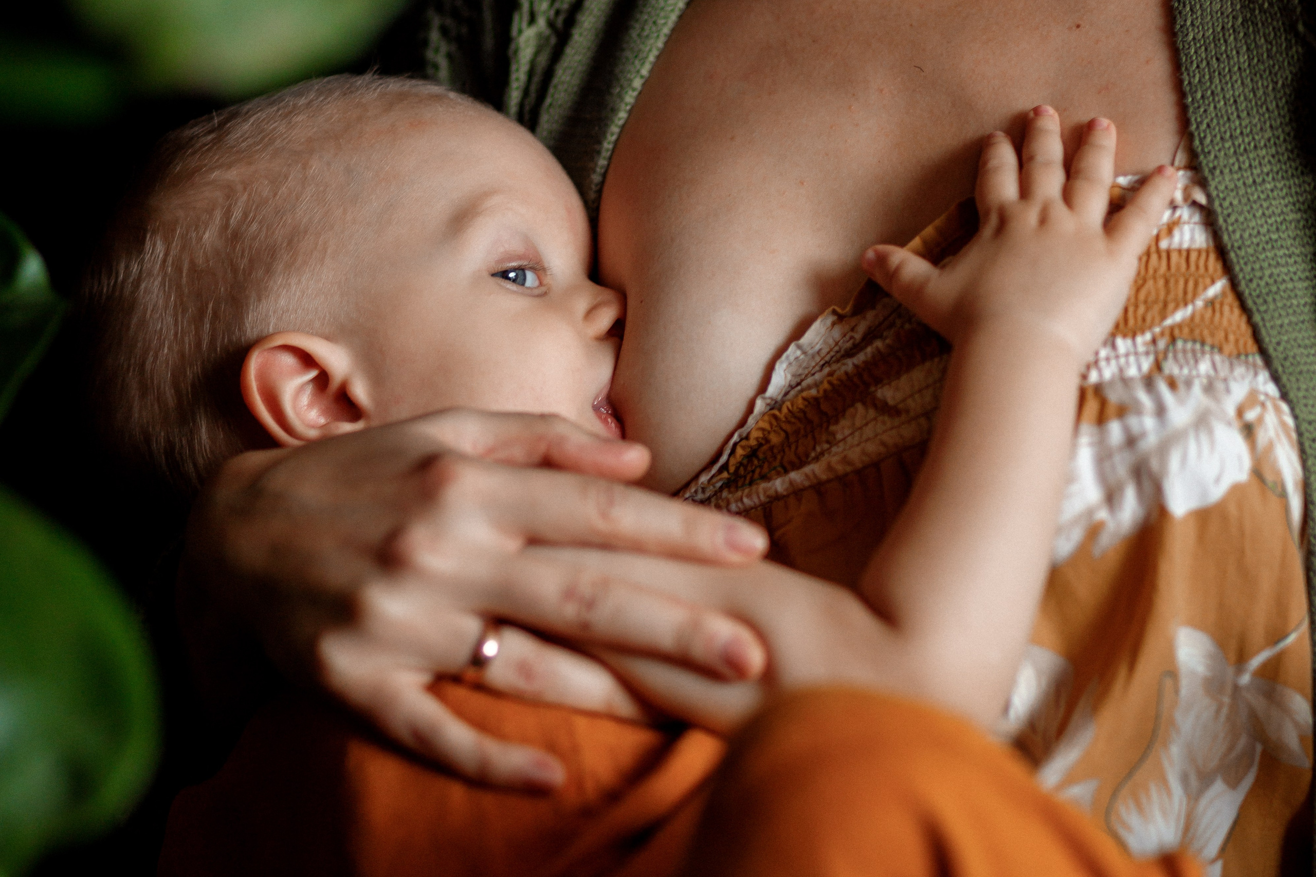 Материнство. Женский и семейный фотограф в Москве и Дедовске Ксения Лайд