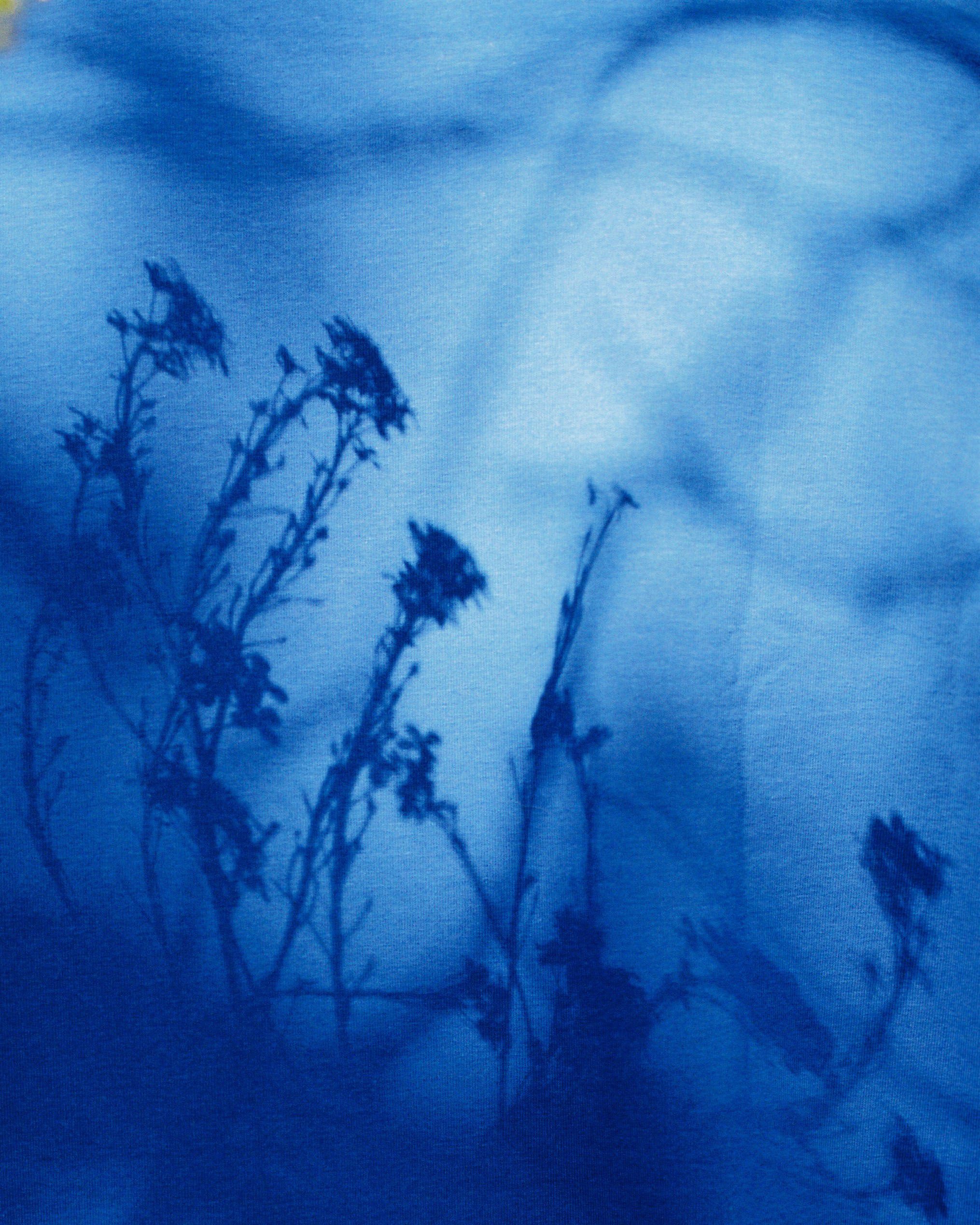 Ретушь. Фотограф Анастасия Бондарчук