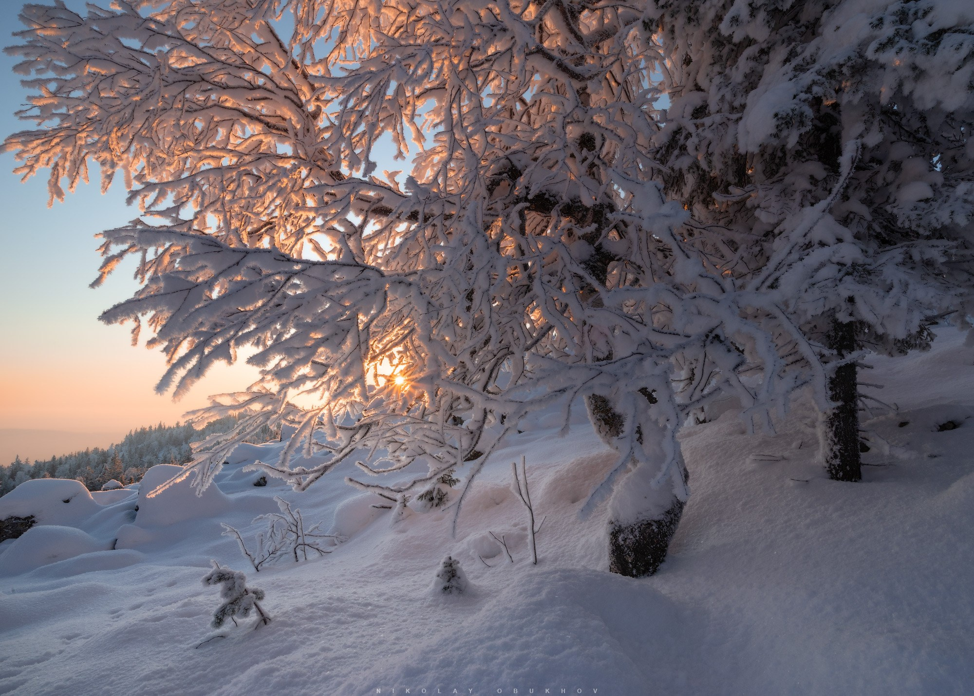 Зимний лес освещен утренним светом, озаряя заснеженные склоны Урала.  