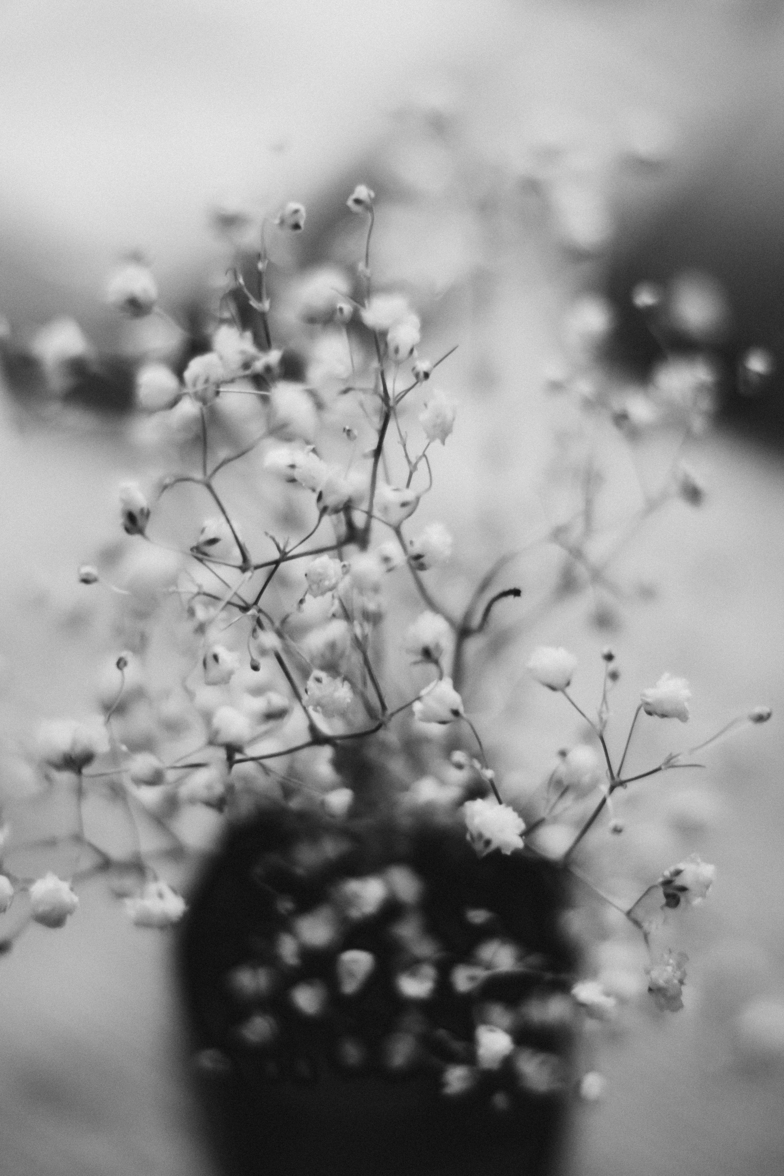 Youth project. Портретный фотограф в Екатеринбурге Филимонова Анастасия