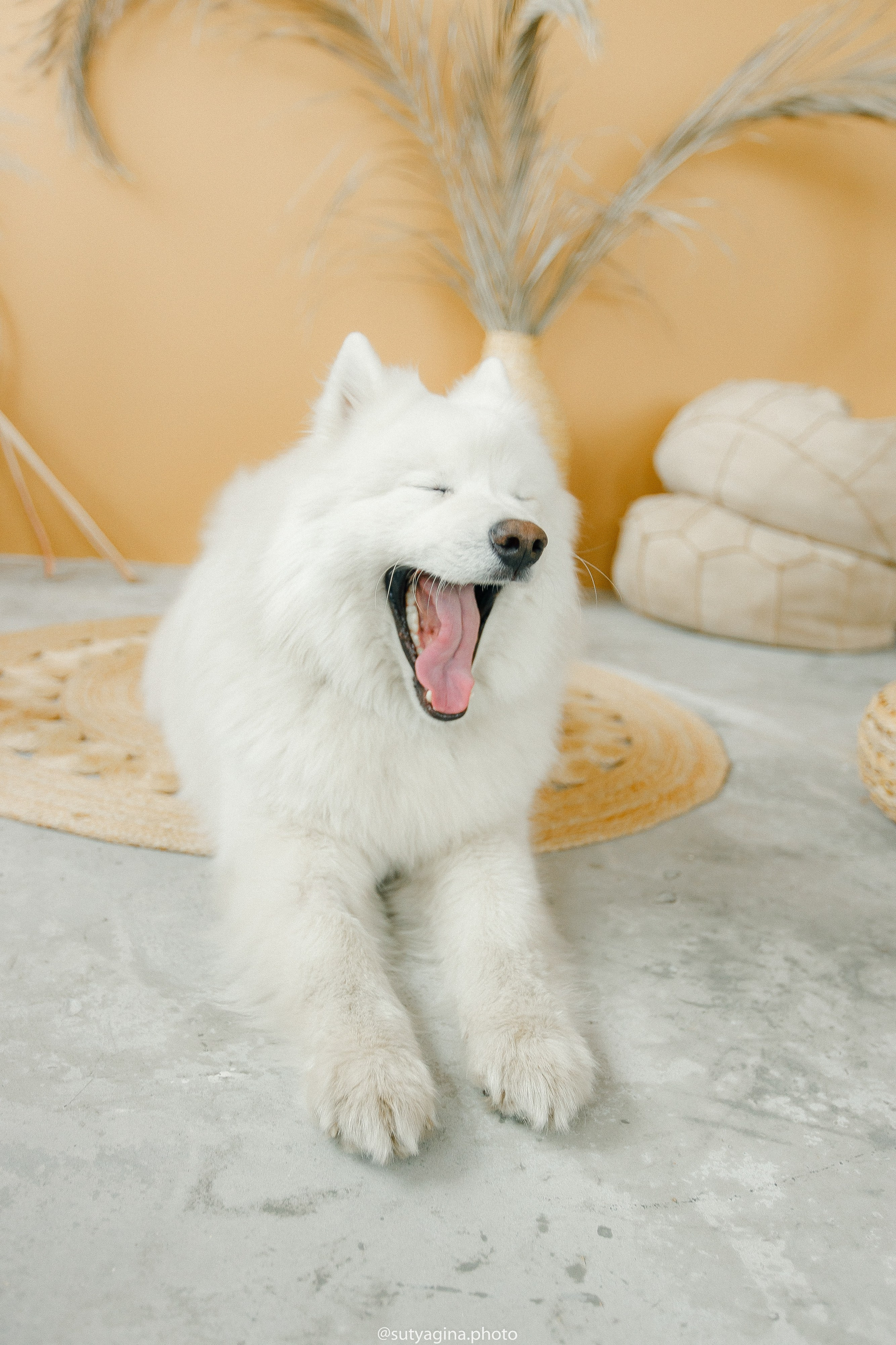 Самоед Мартин. Свадебный и женский фотограф