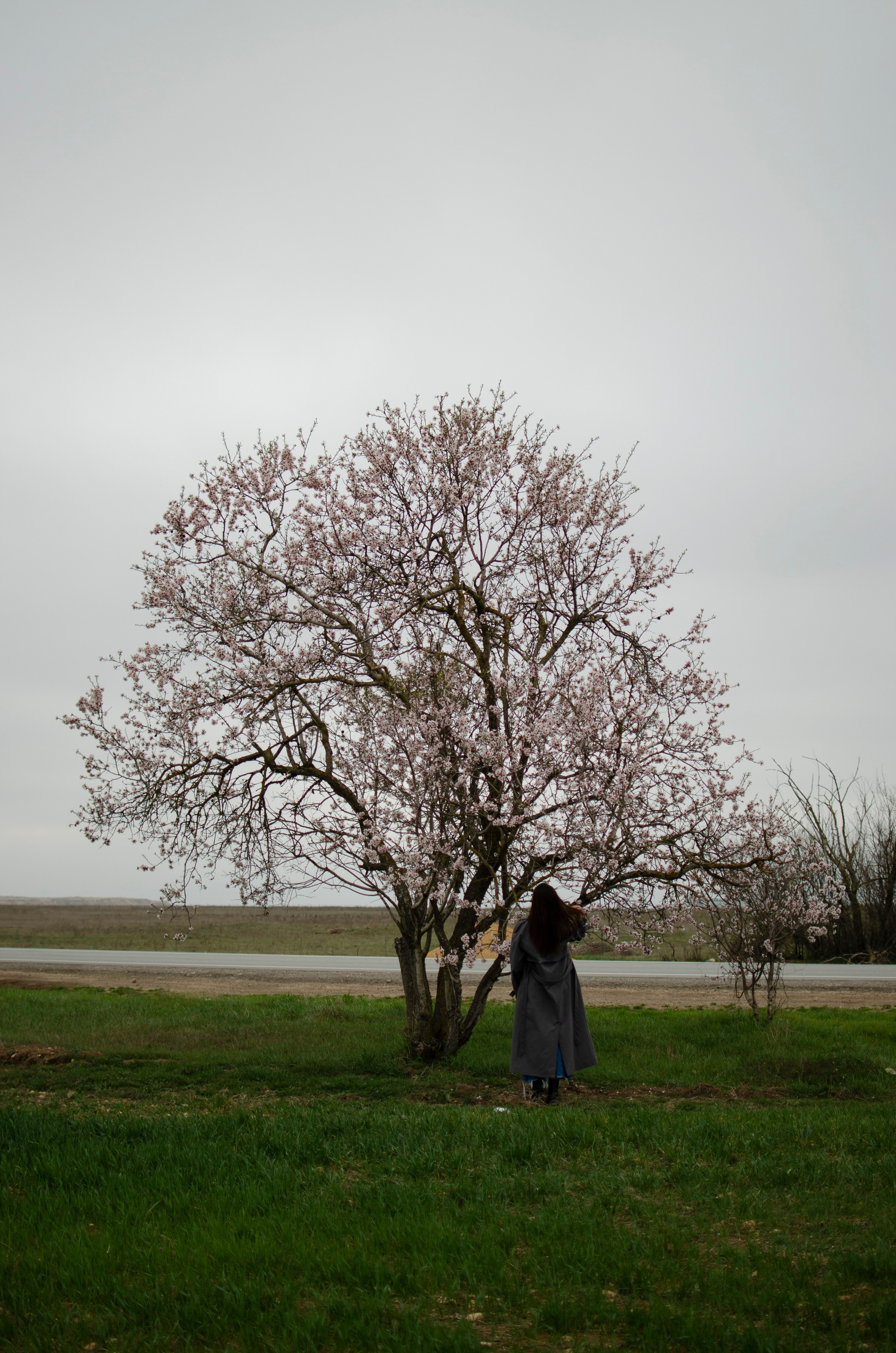 Катя. Фотограф в Евпатории и по Крыму с которым комфортно всем Добровольская Татьяна